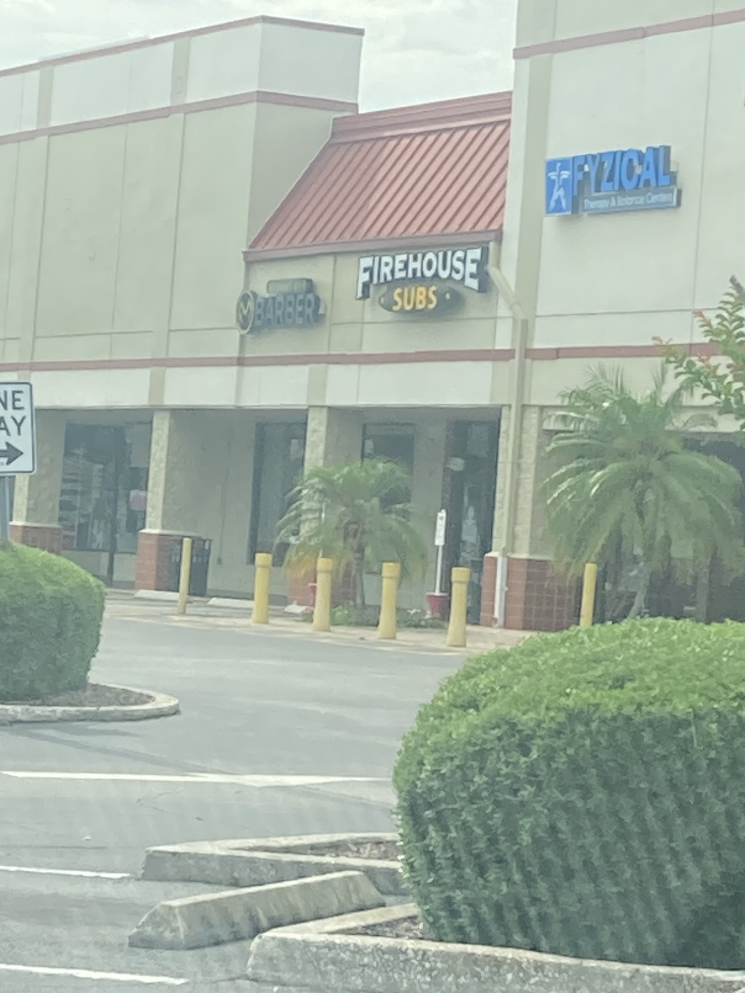 Firehouse Subs Michigan