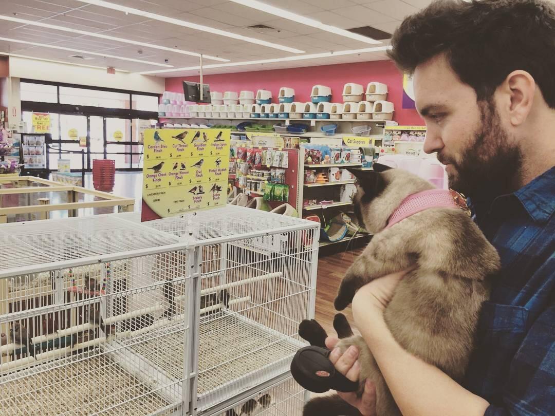 Pet Supermarket Orlando