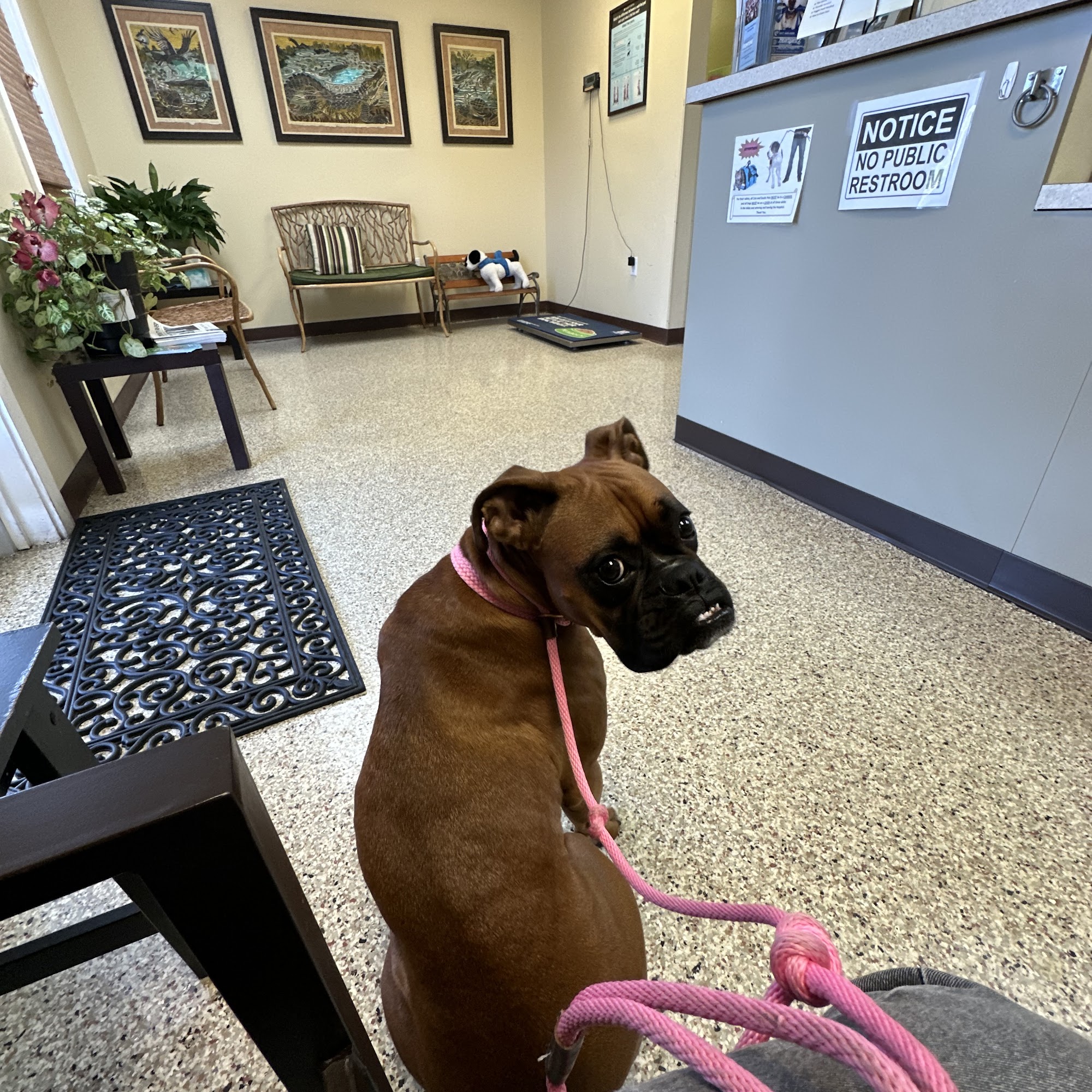 Varsity Veterinary Center Orlando