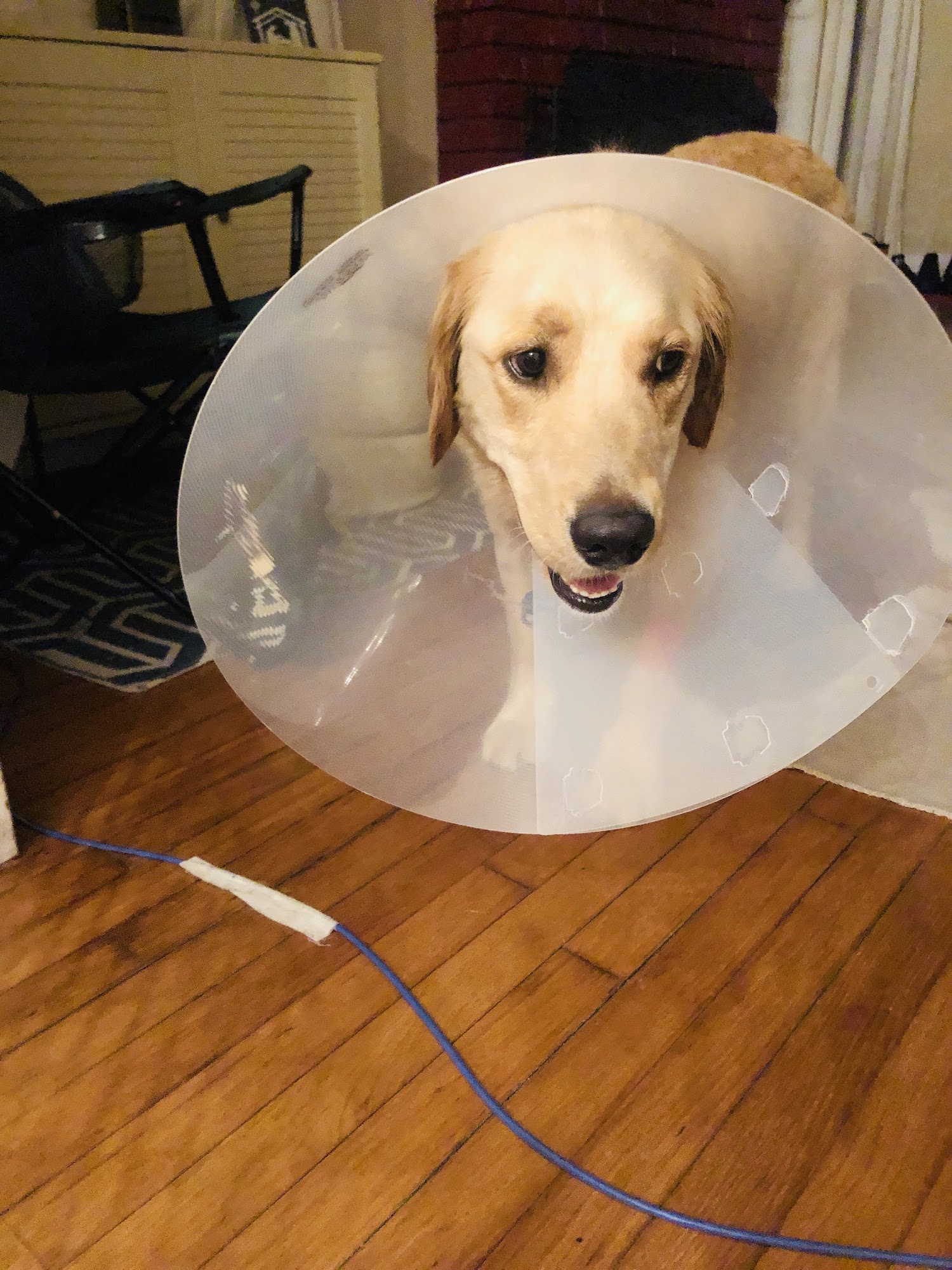 Varsity Veterinary Center Orlando