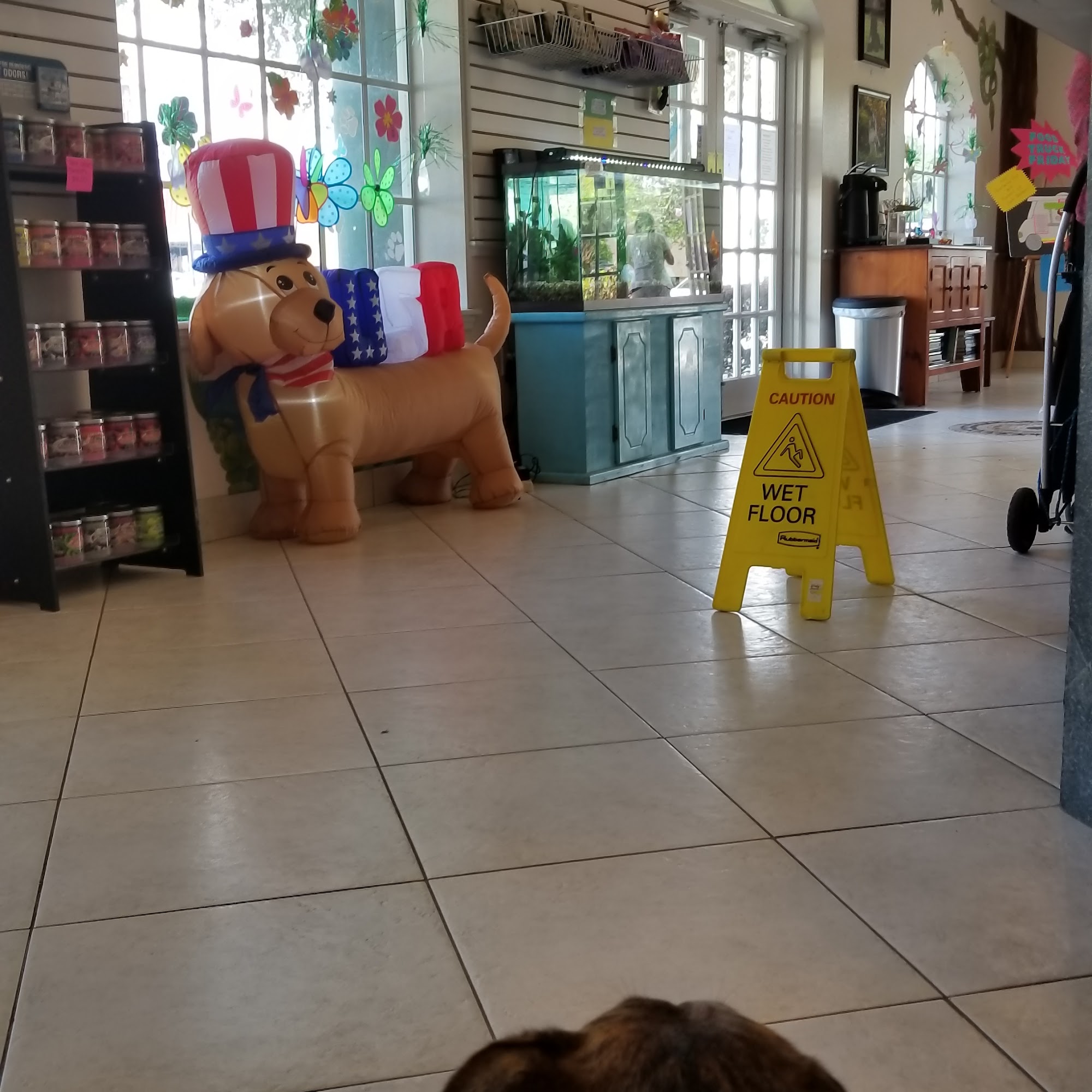 Animal Medical Clinic of Orlando Orlando