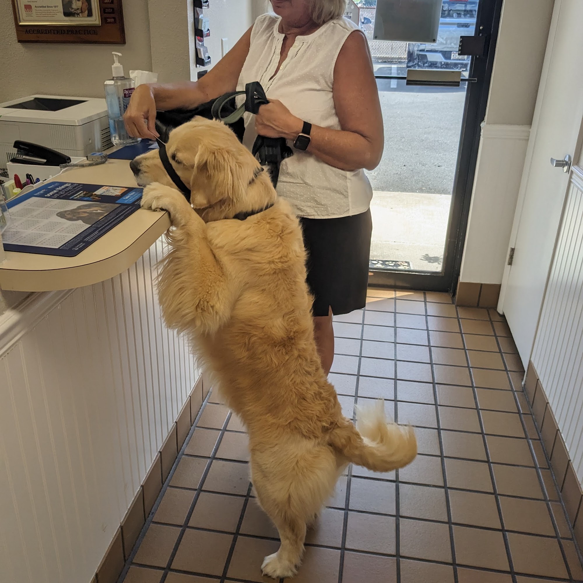 Powers Drive Animal Hospital Orlando