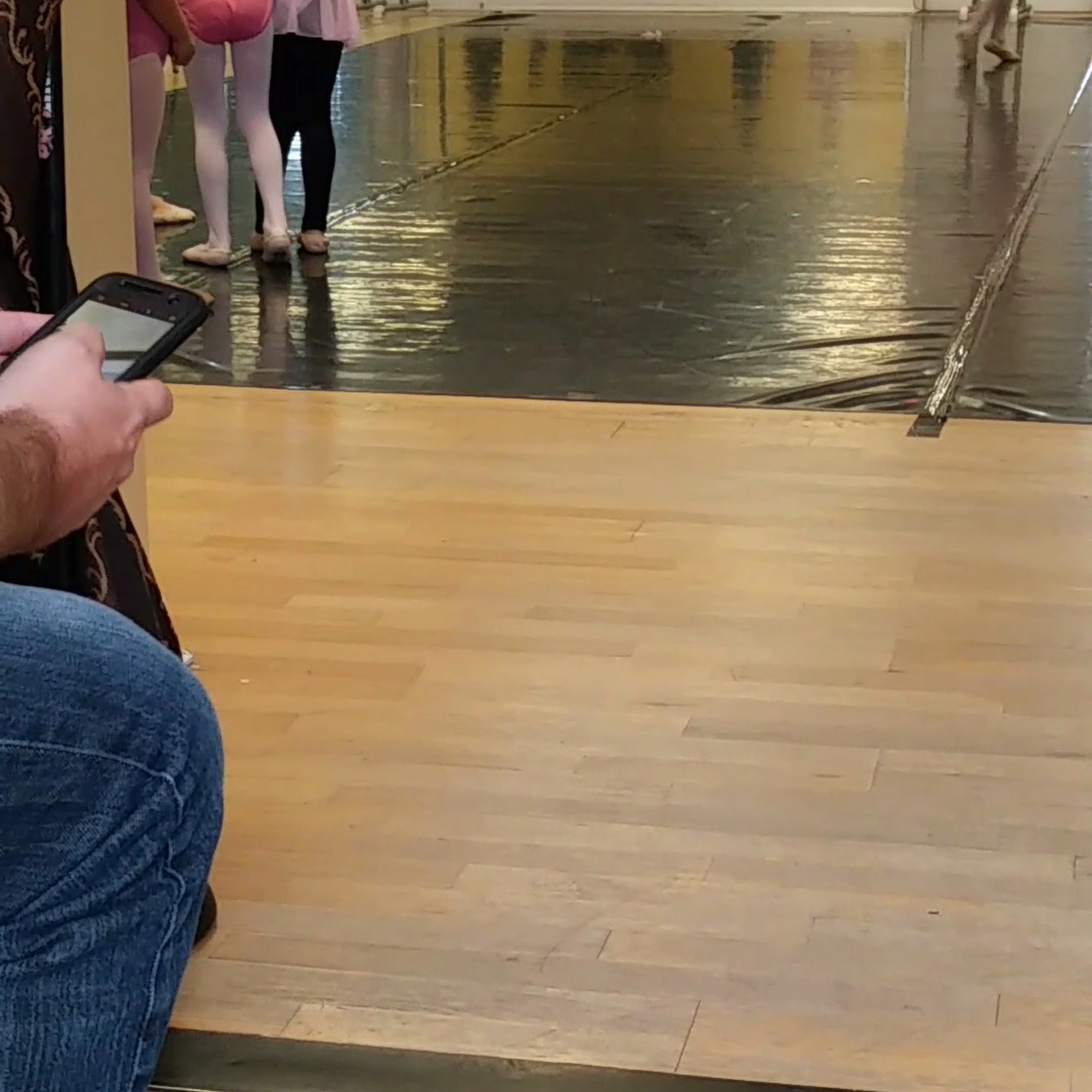 Eastwood Animal Hospital Orlando