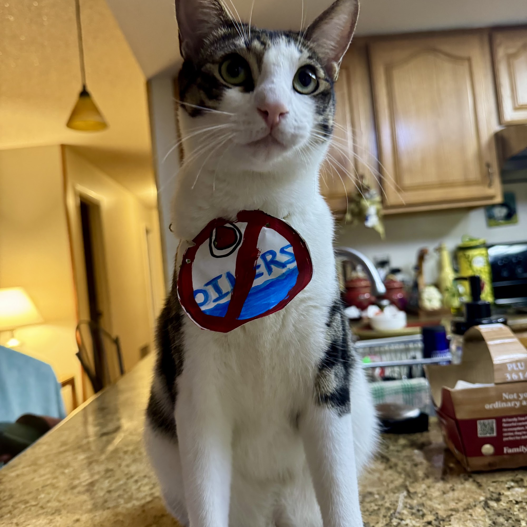 Sand Lake Animal Clinic Orlando