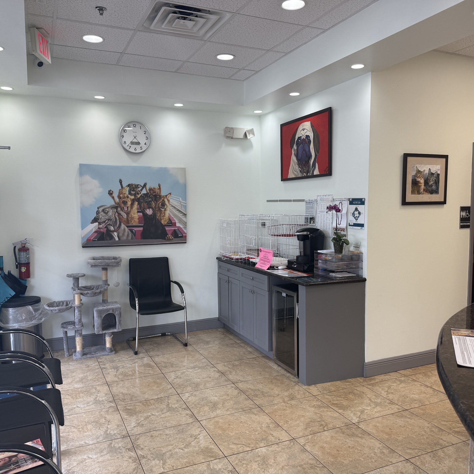 Grand Oaks Pet Hospital Orlando