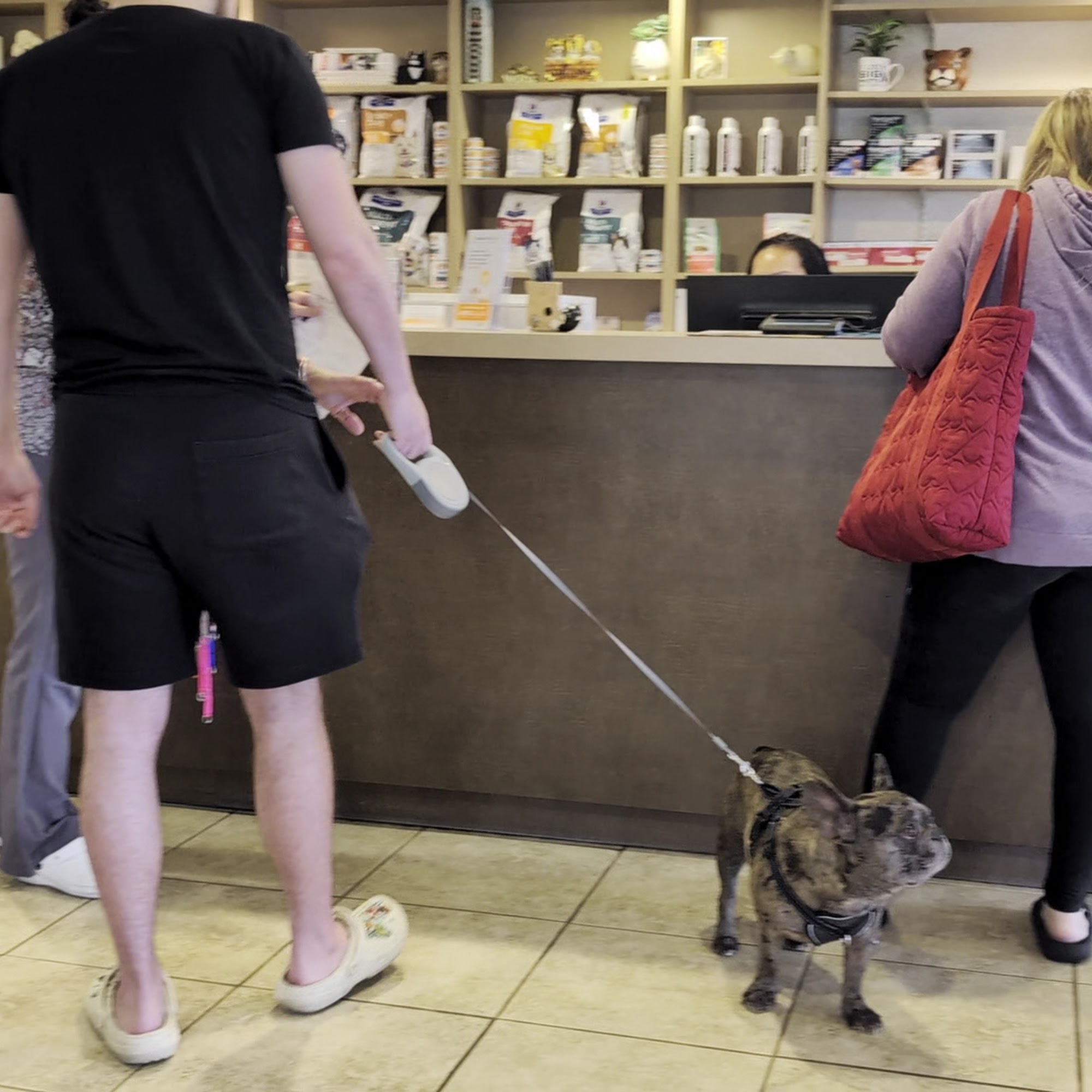 South Orlando Animal Hospital Orlando