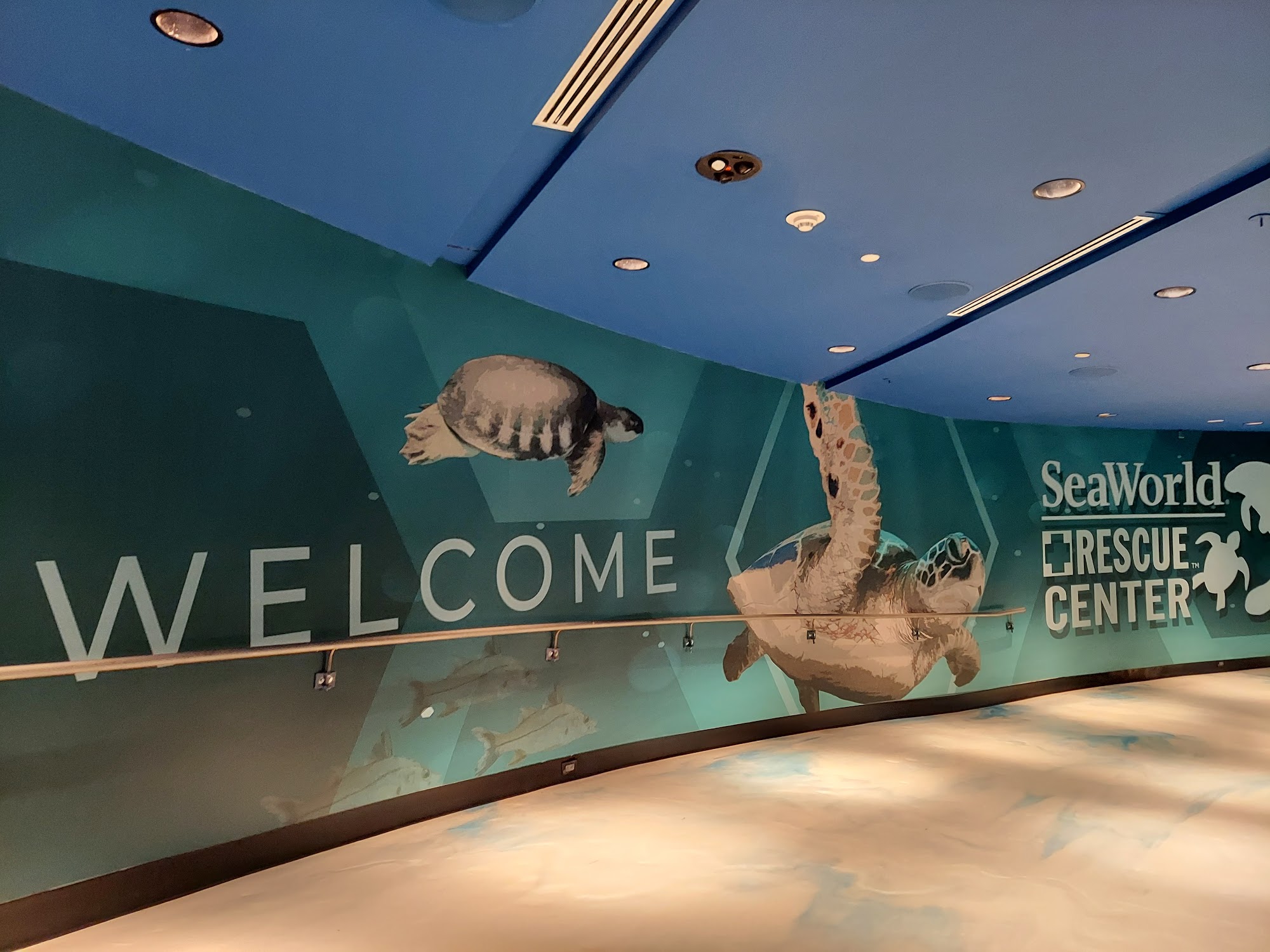 Sweet Sailin' Candy Menu