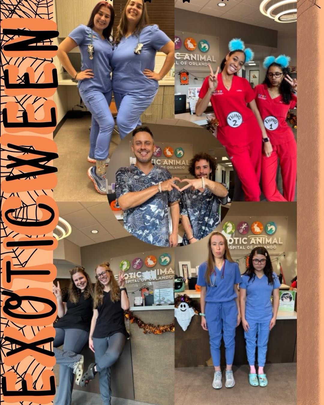 Exotic Animal Hospital of Orlando Orlando