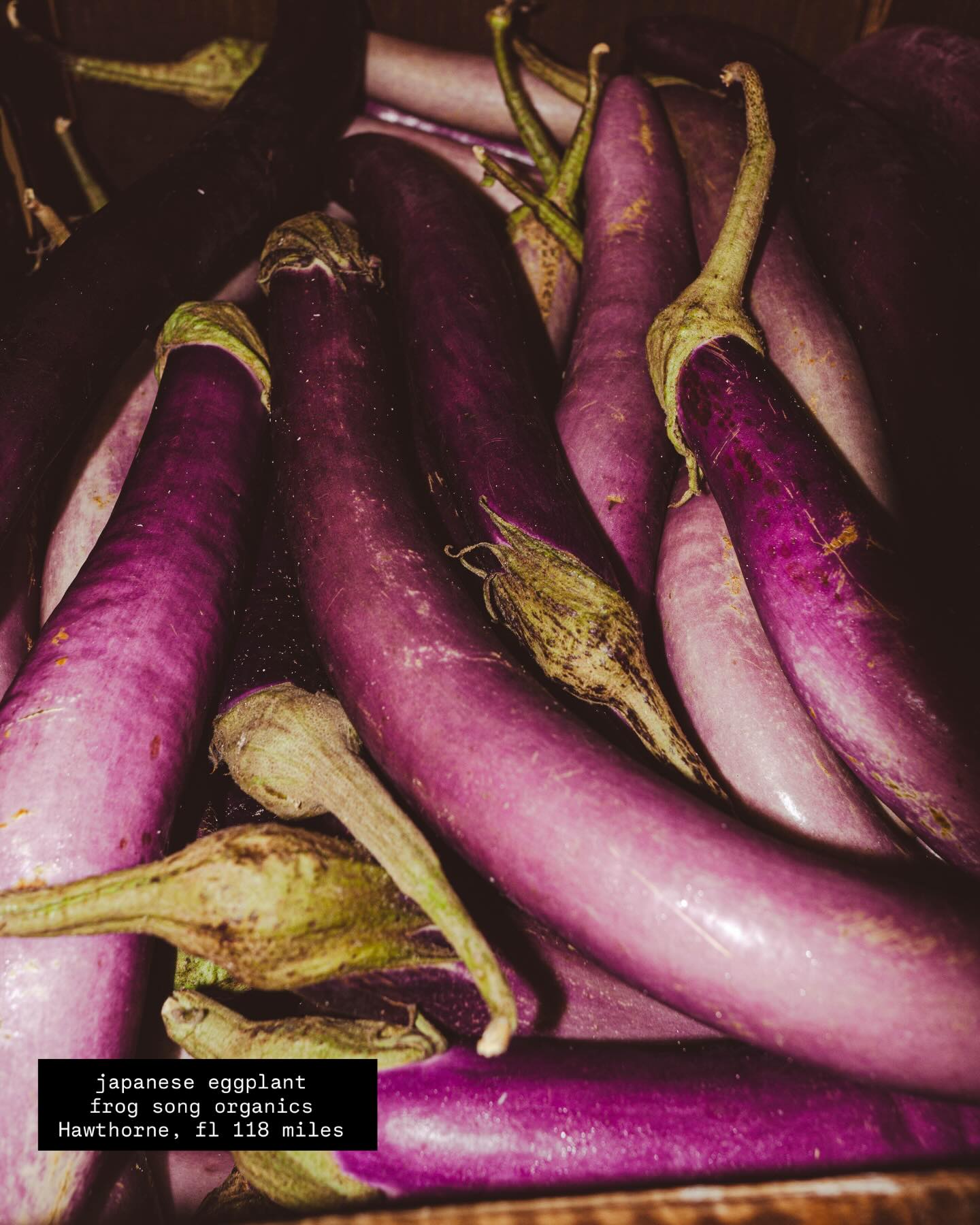 Smoke & Donuts BBQ Orlando