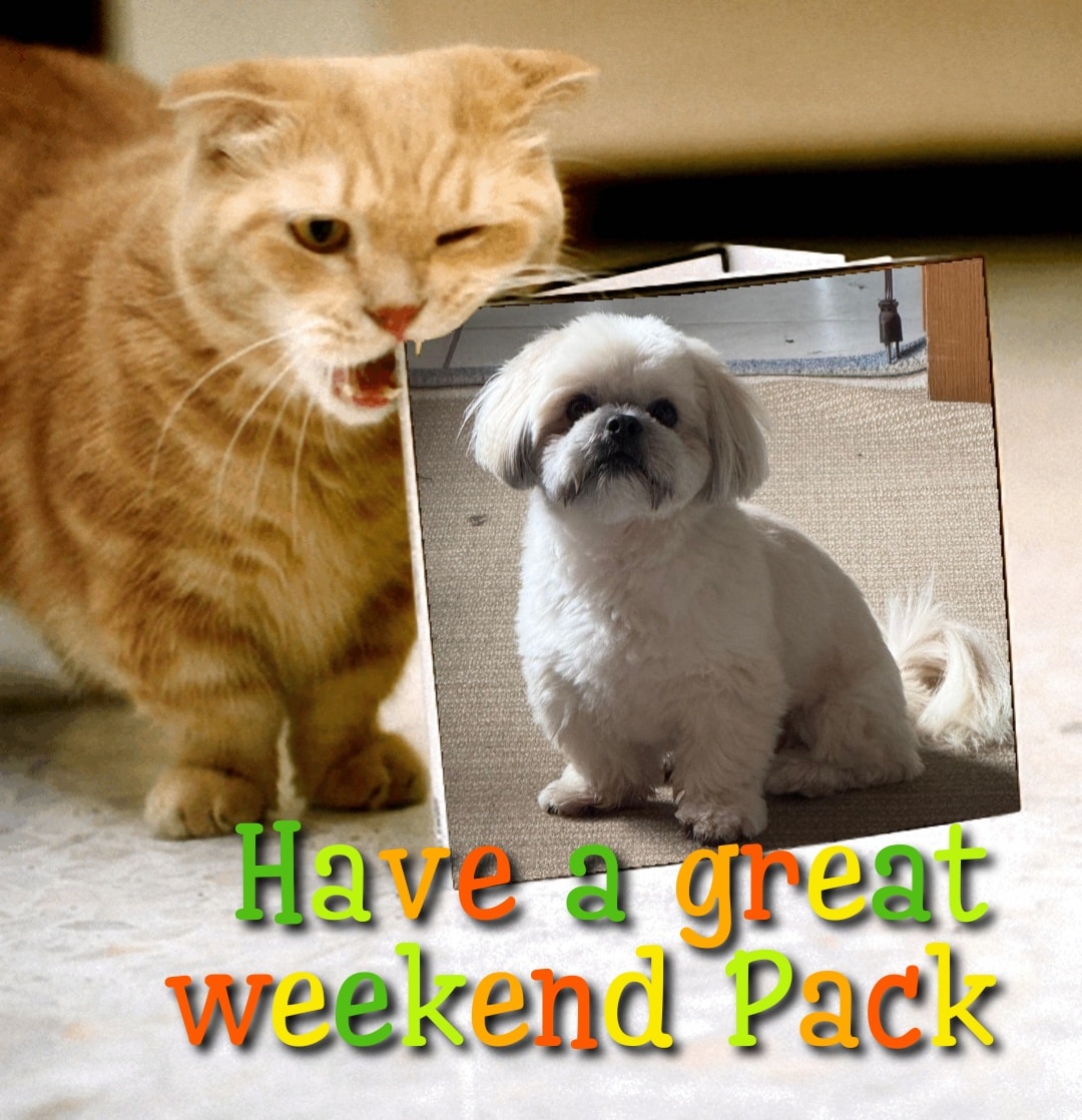 Ashley's Pack LLC Orlando