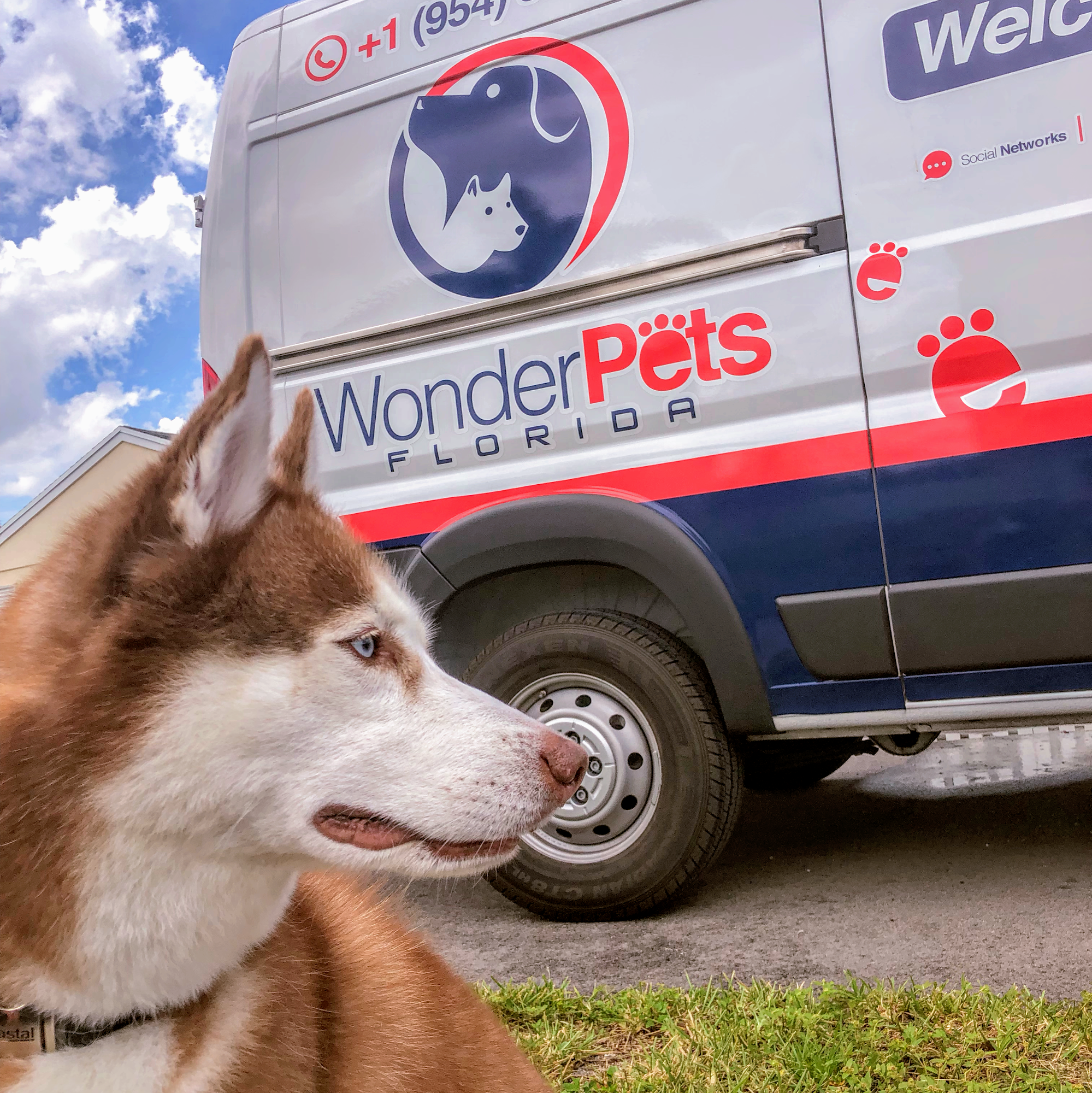 Mobile Grooming & Pet boarding Wonder Pets Florida Orlando