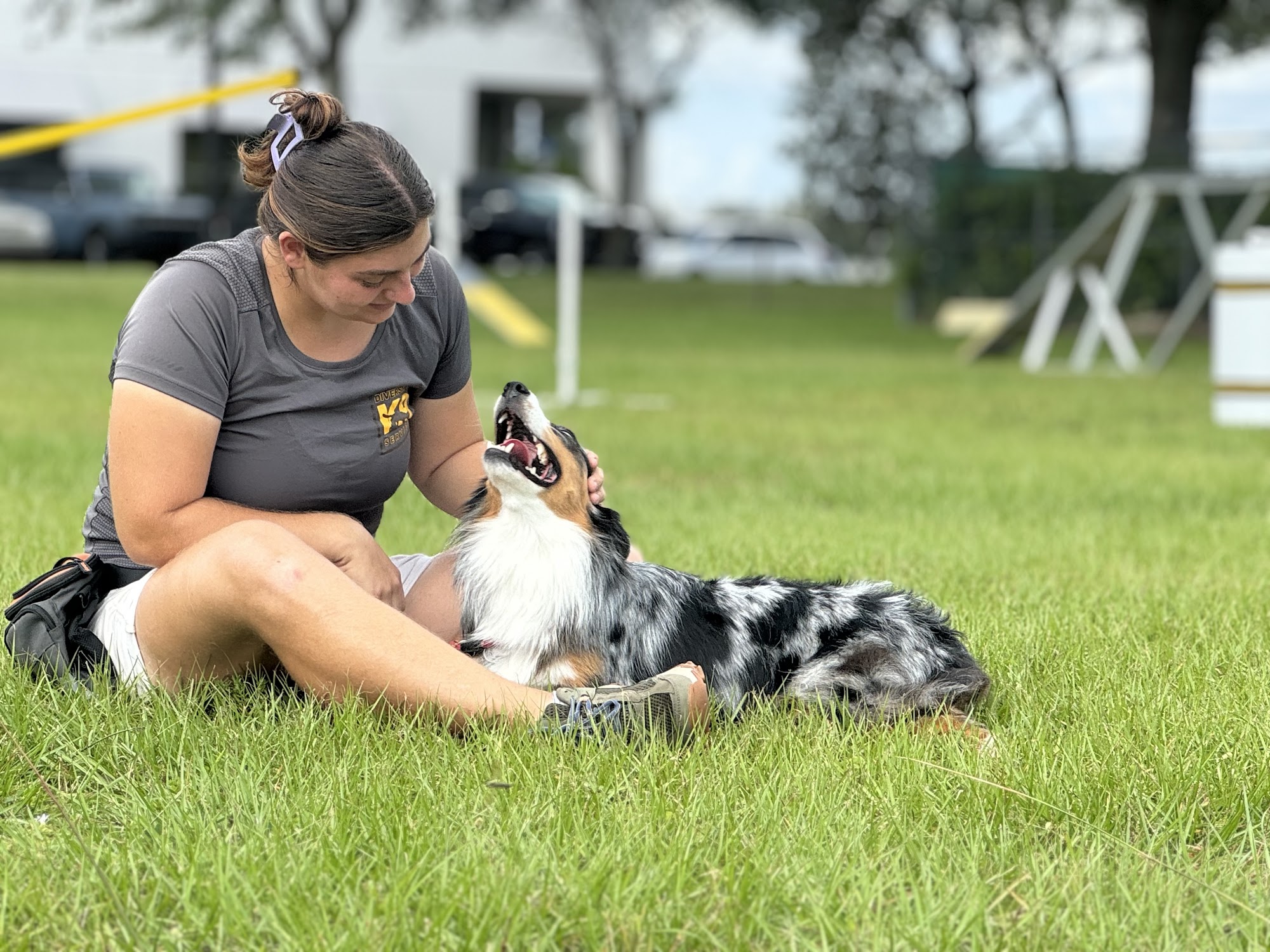 Diversity K9 Services Orlando