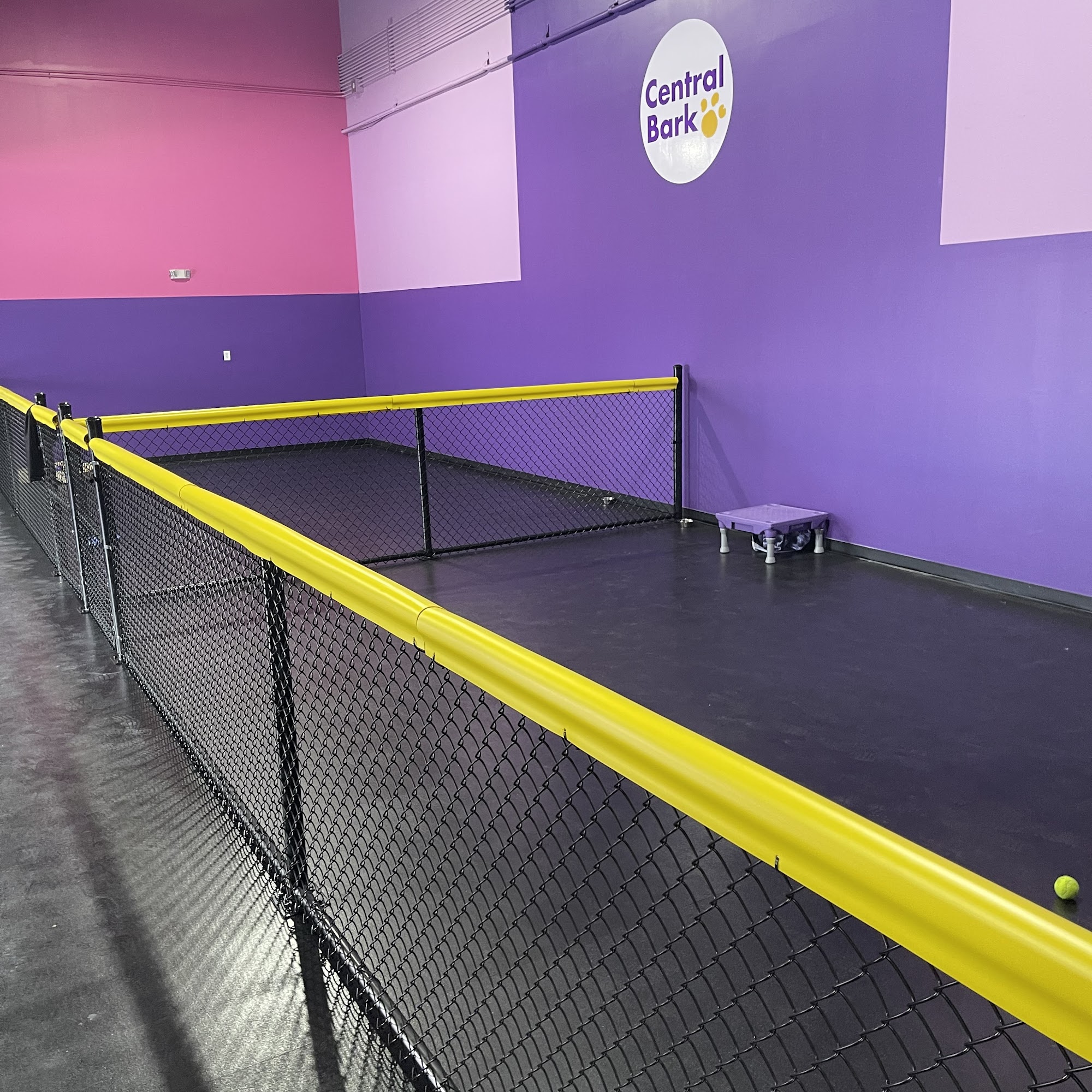 Central Bark Orlando East Orlando