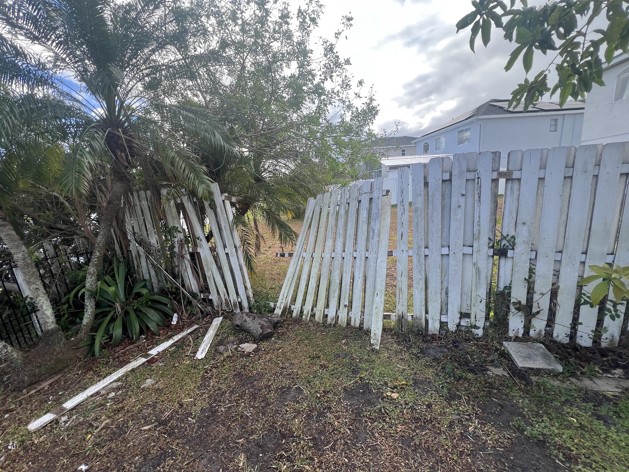 Cino International Inc