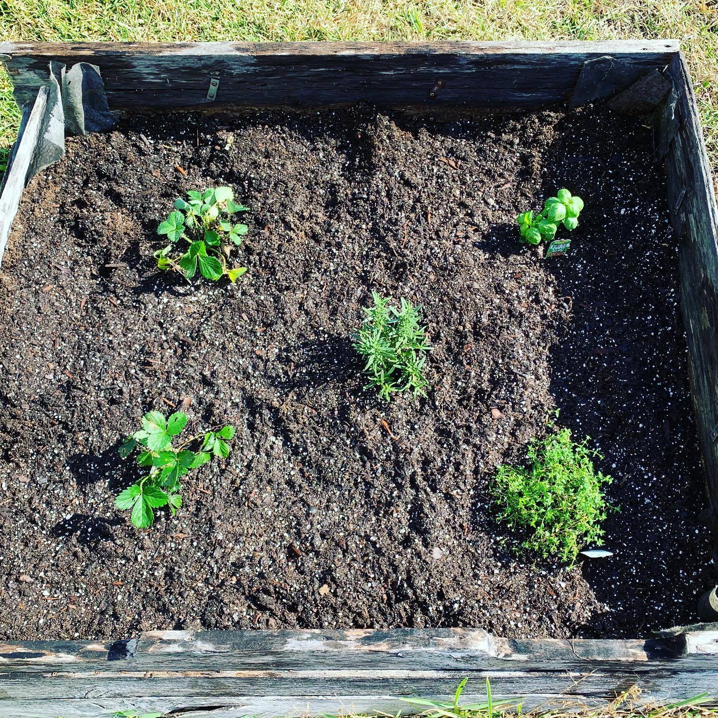 The Pilates Boutique