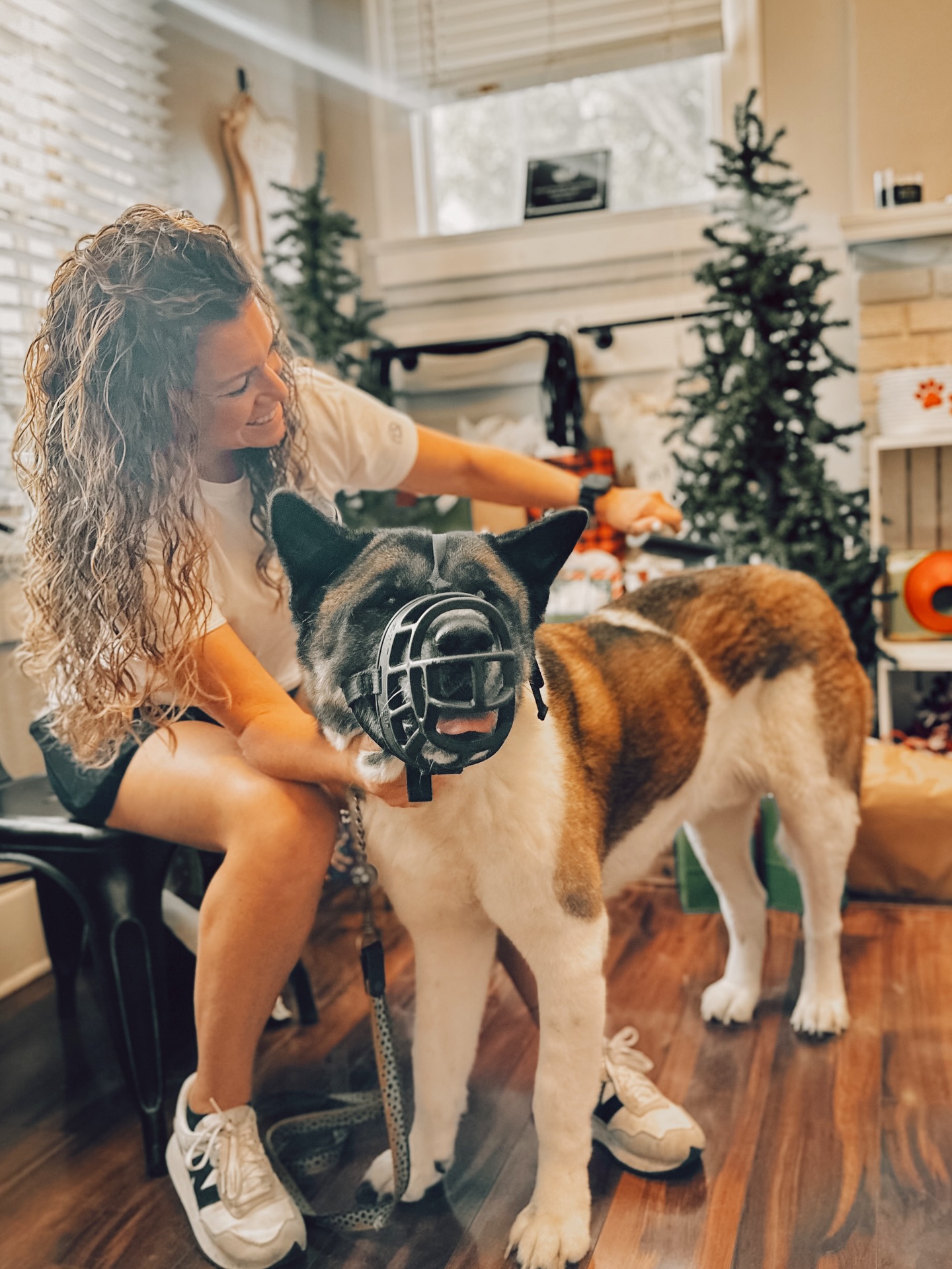 Beyond the Leash Dog Training Orlando