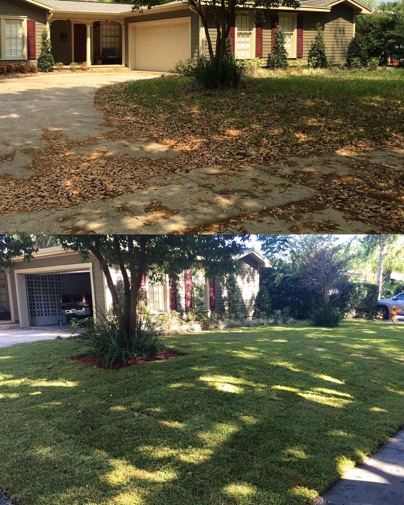 Maintain Landscaping
