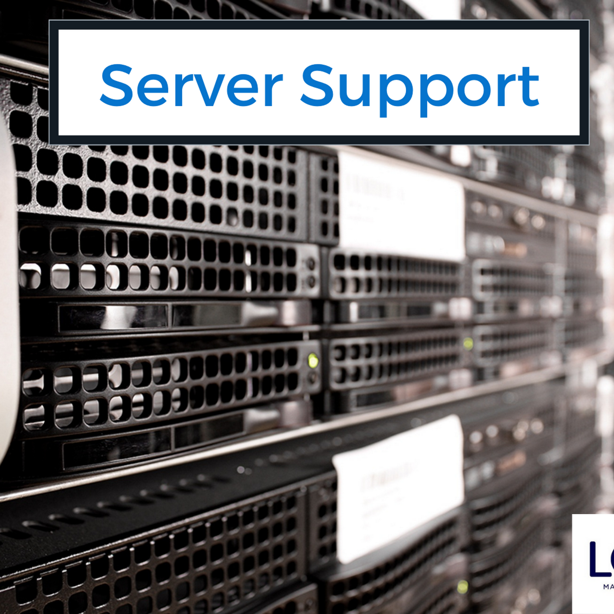 Lotus Management Services, Inc.