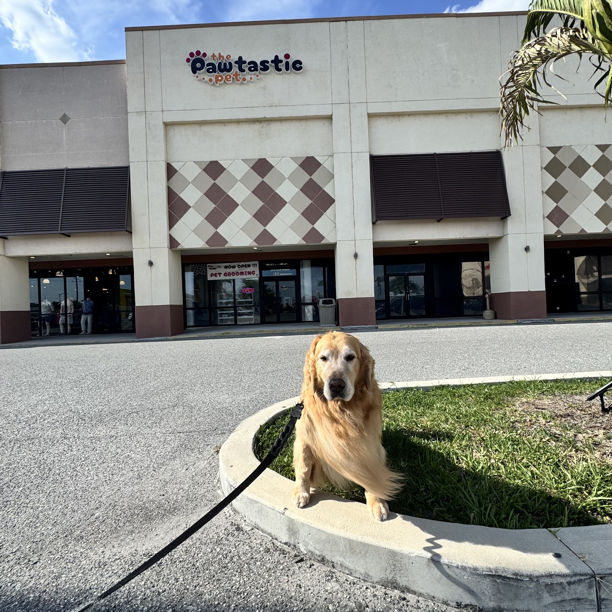 The Pawtastic Pet Shop Orlando