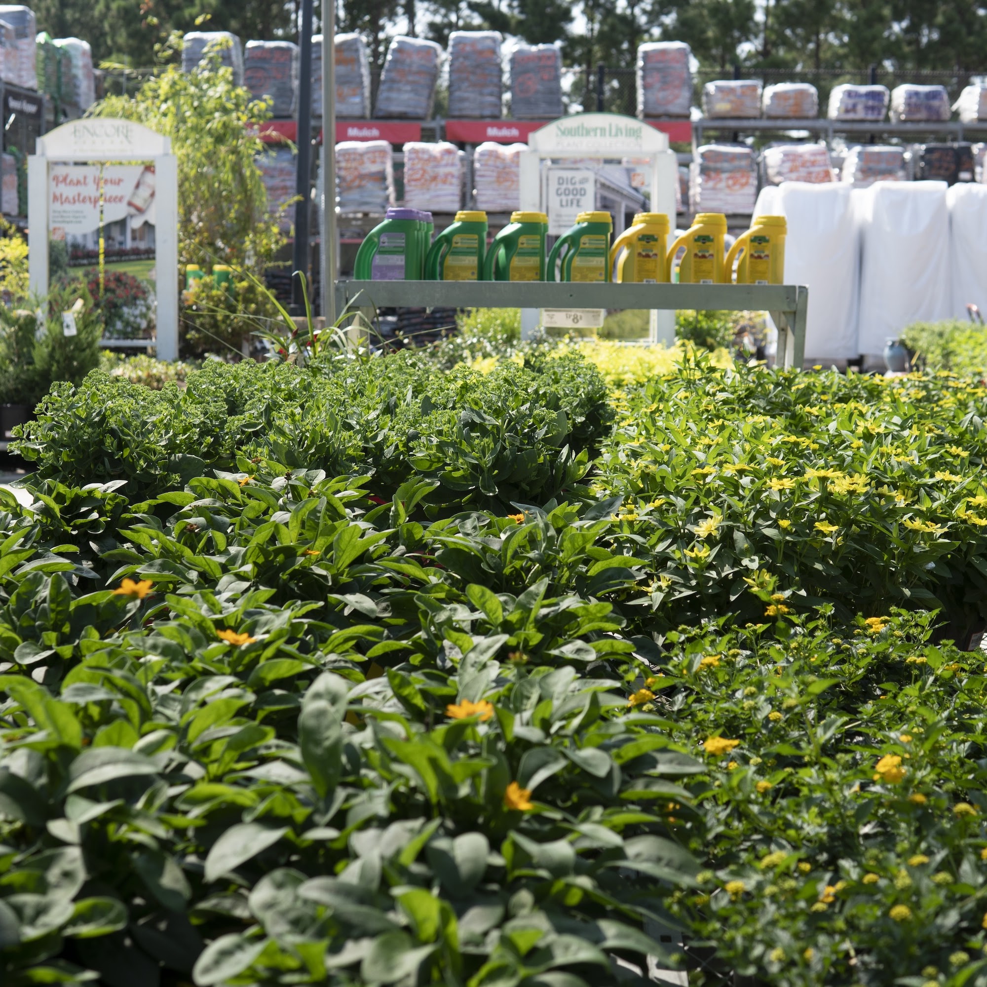 Garden Center at The Home Depot Orlando