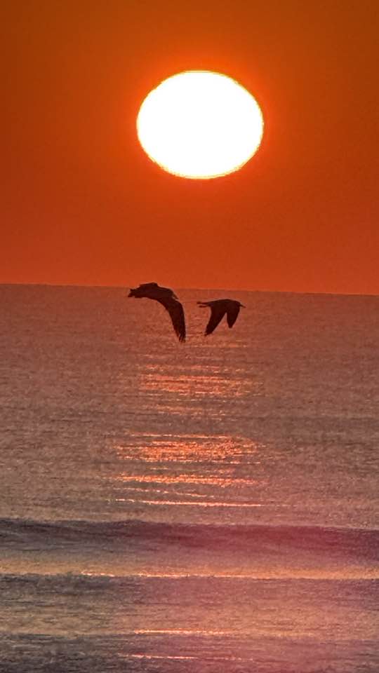 The Beach Bucket Ormond Beach
