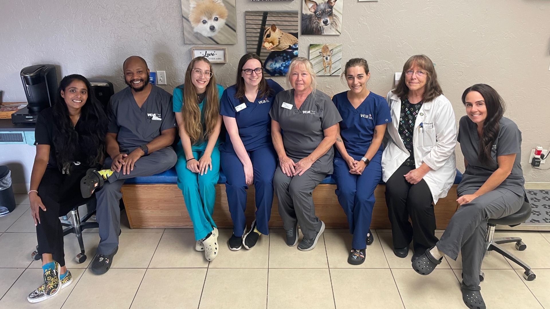 VCA Ormond Beach Animal Hospital Ormond Beach