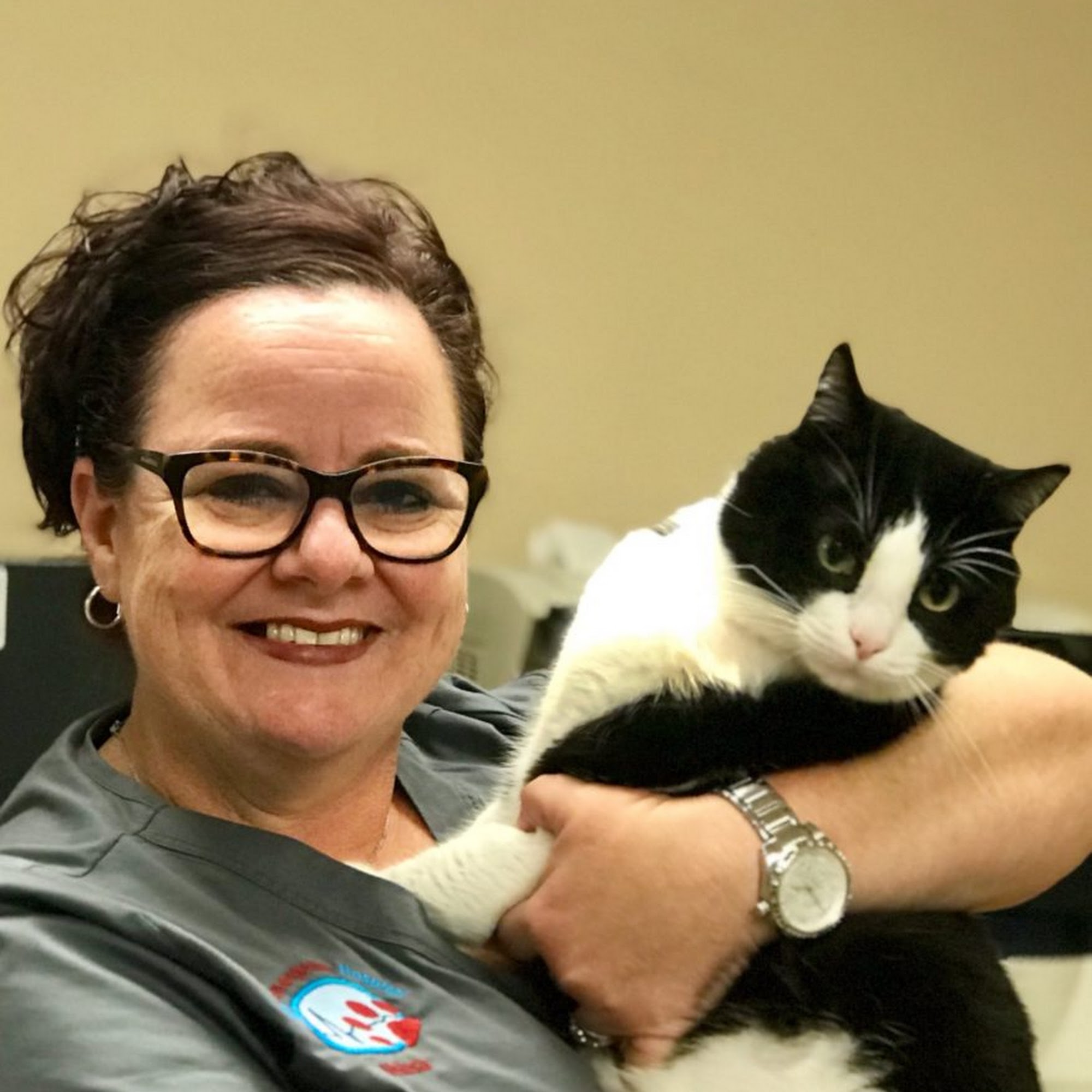 Animal Emergency Hospital Volusia Ormond Beach