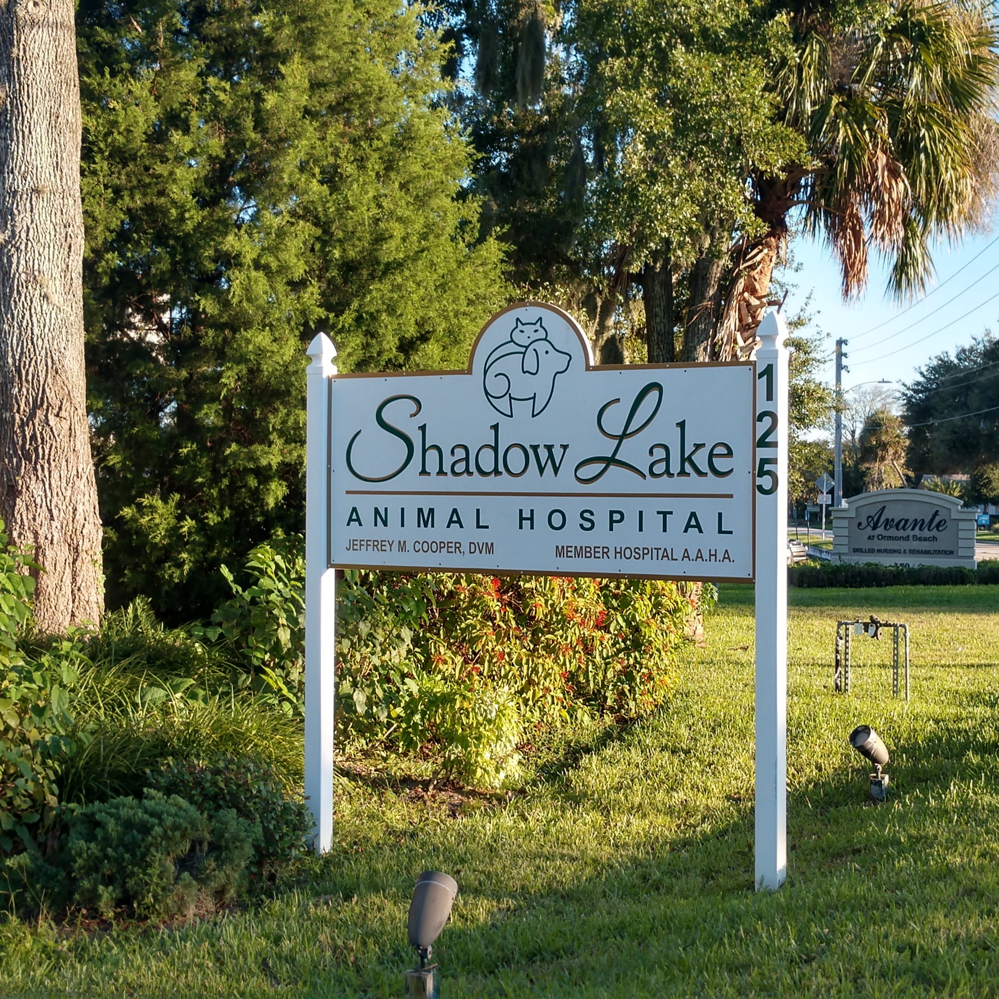 Shadow Lake Animal Hospital Ormond Beach