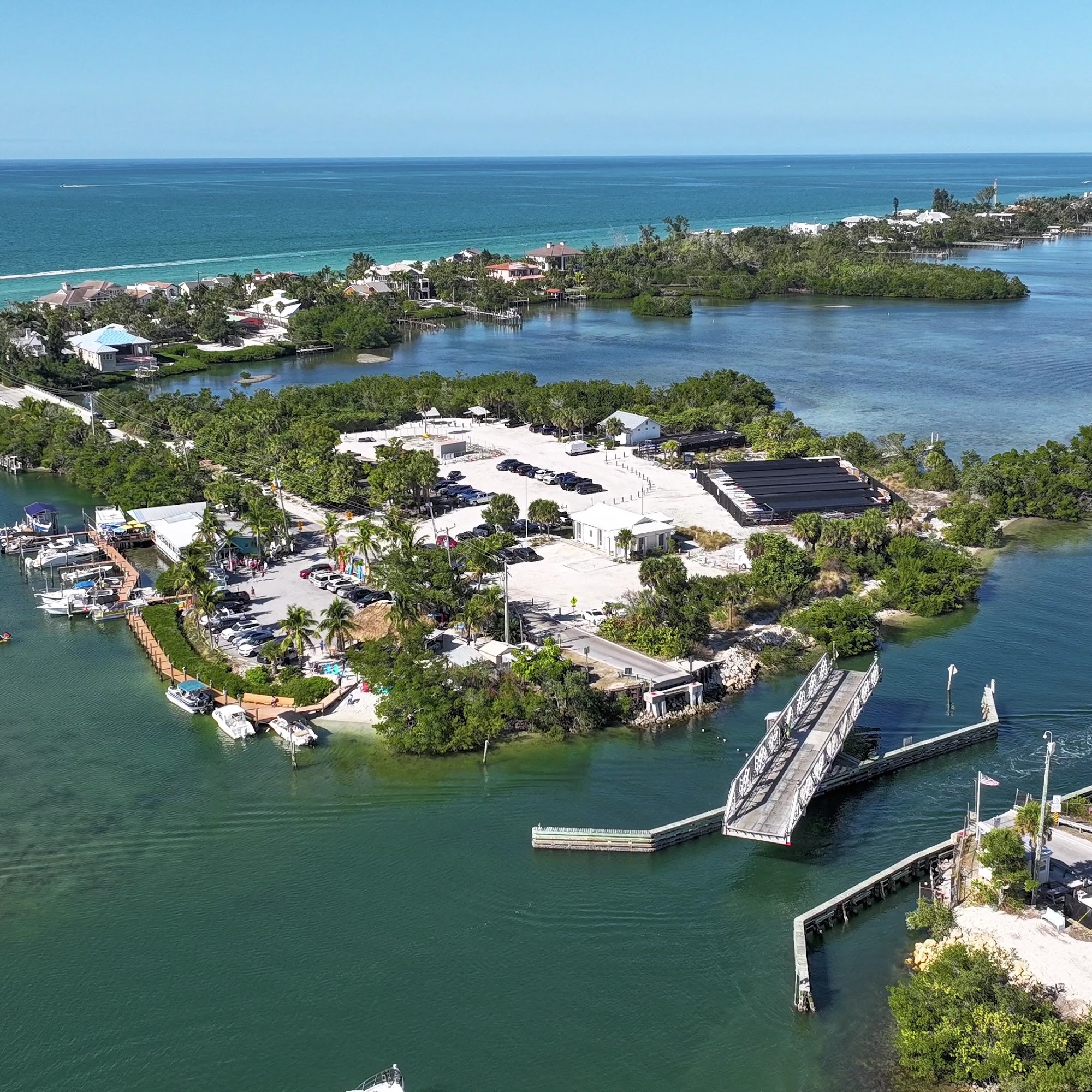Casey Key Fish House Osprey