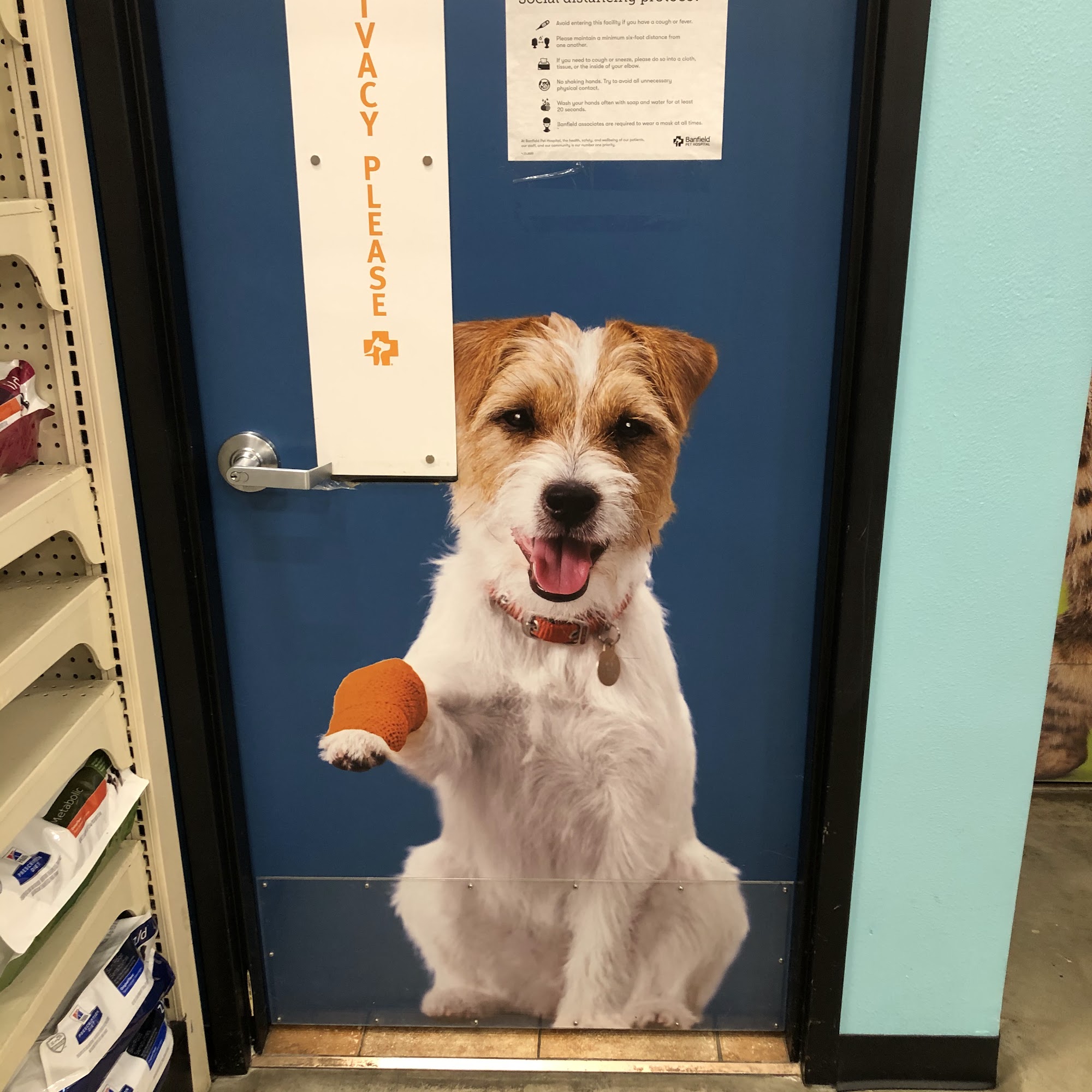 PetSmart Oviedo