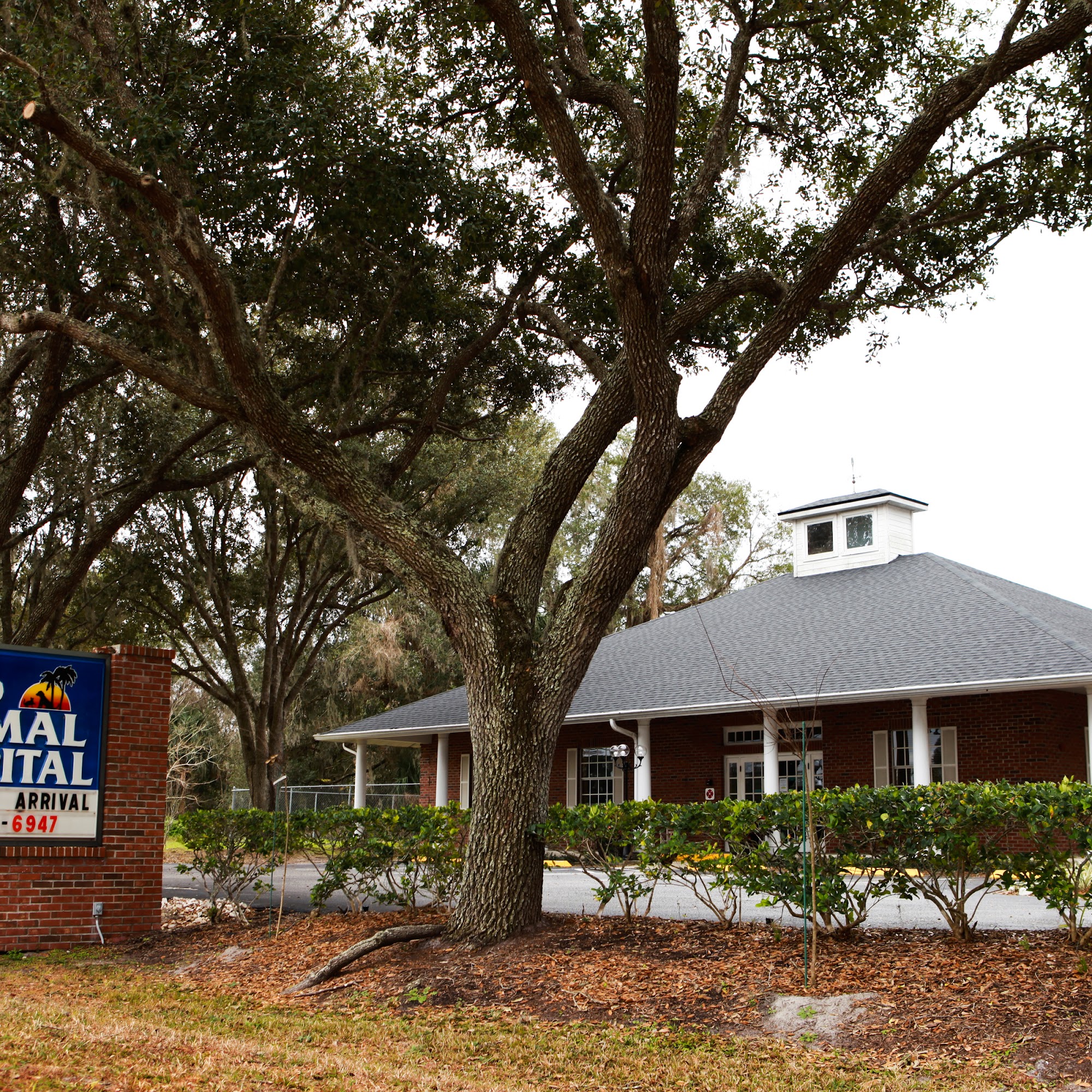 Oviedo Animal Hospital Oviedo