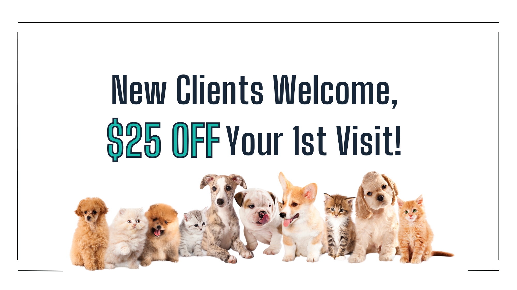 Alafaya Trail Animal Hospital Oviedo