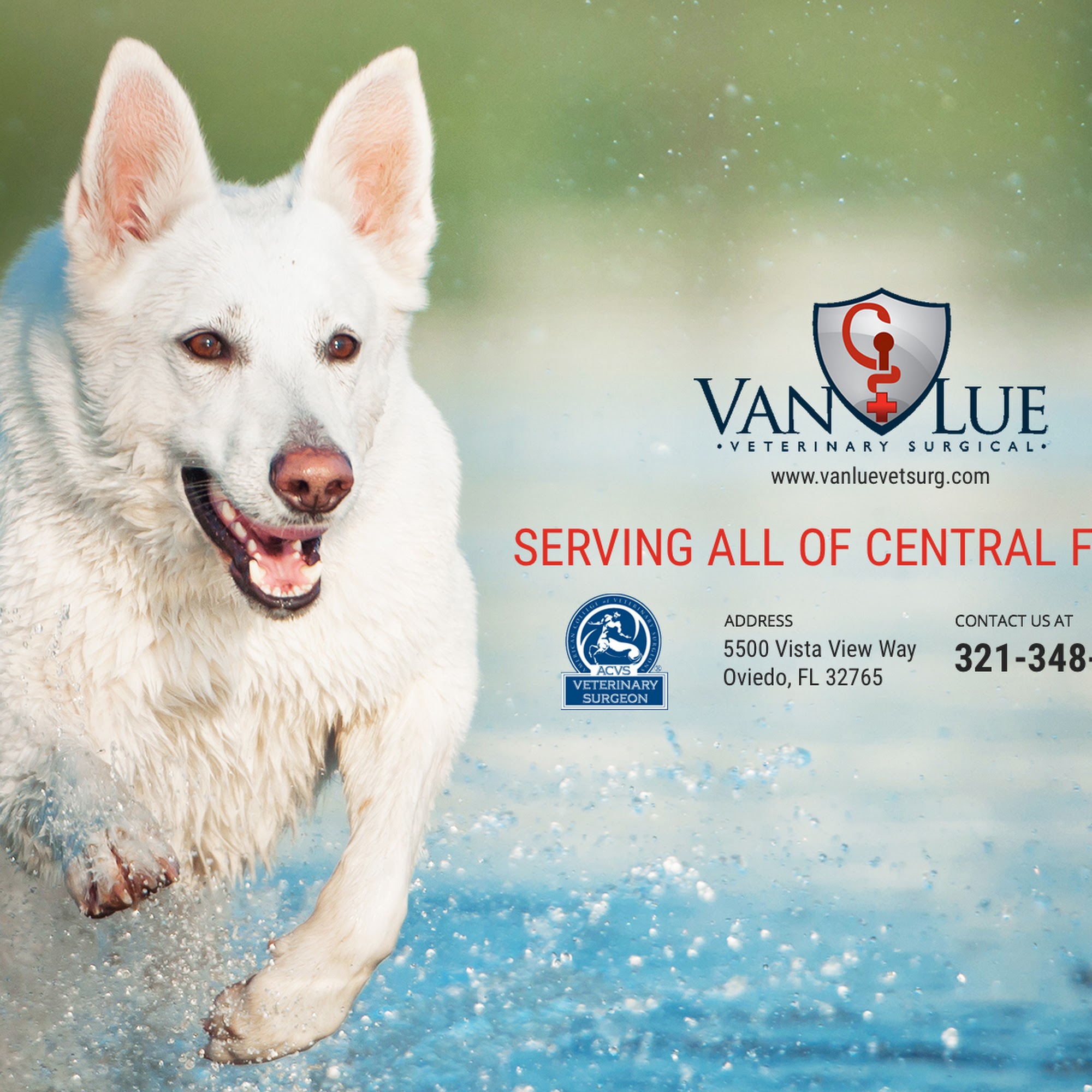 Van Lue Veterinary Surgical Oviedo