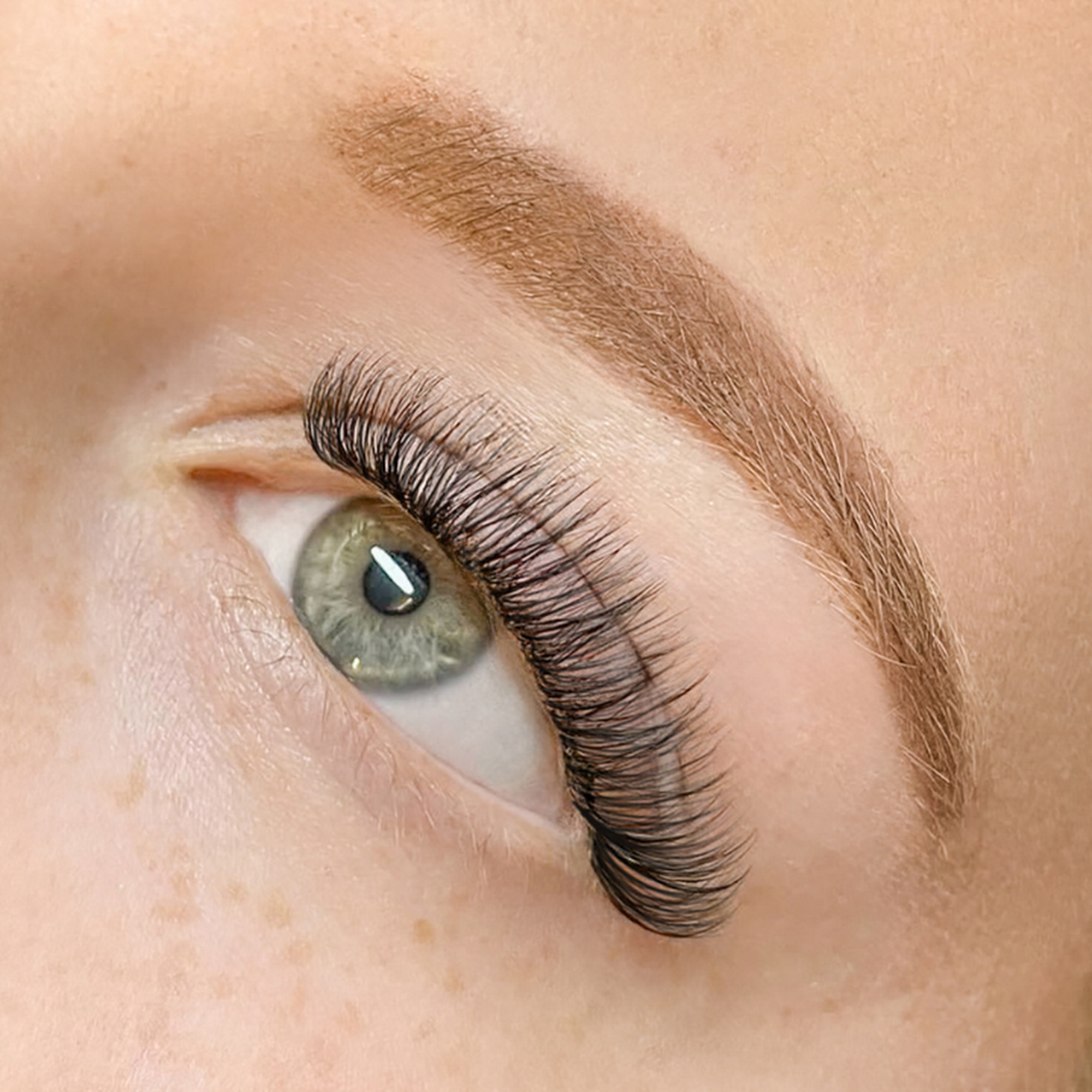 The Lash Lounge