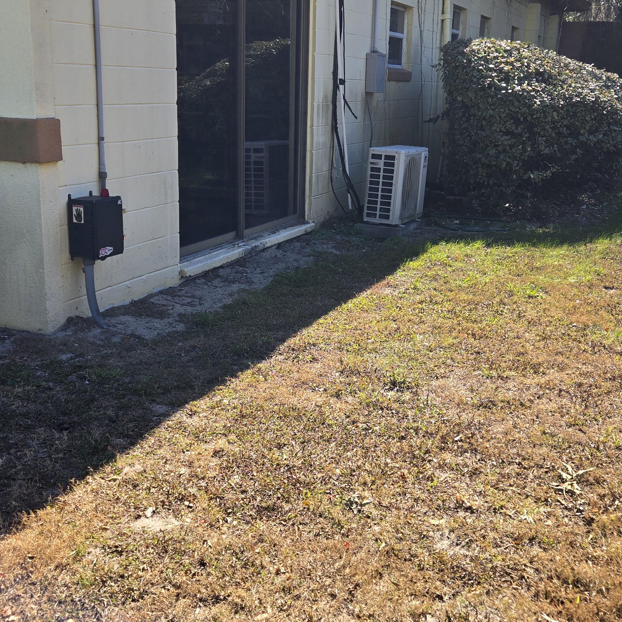 Animal Medical Clinic Palatka