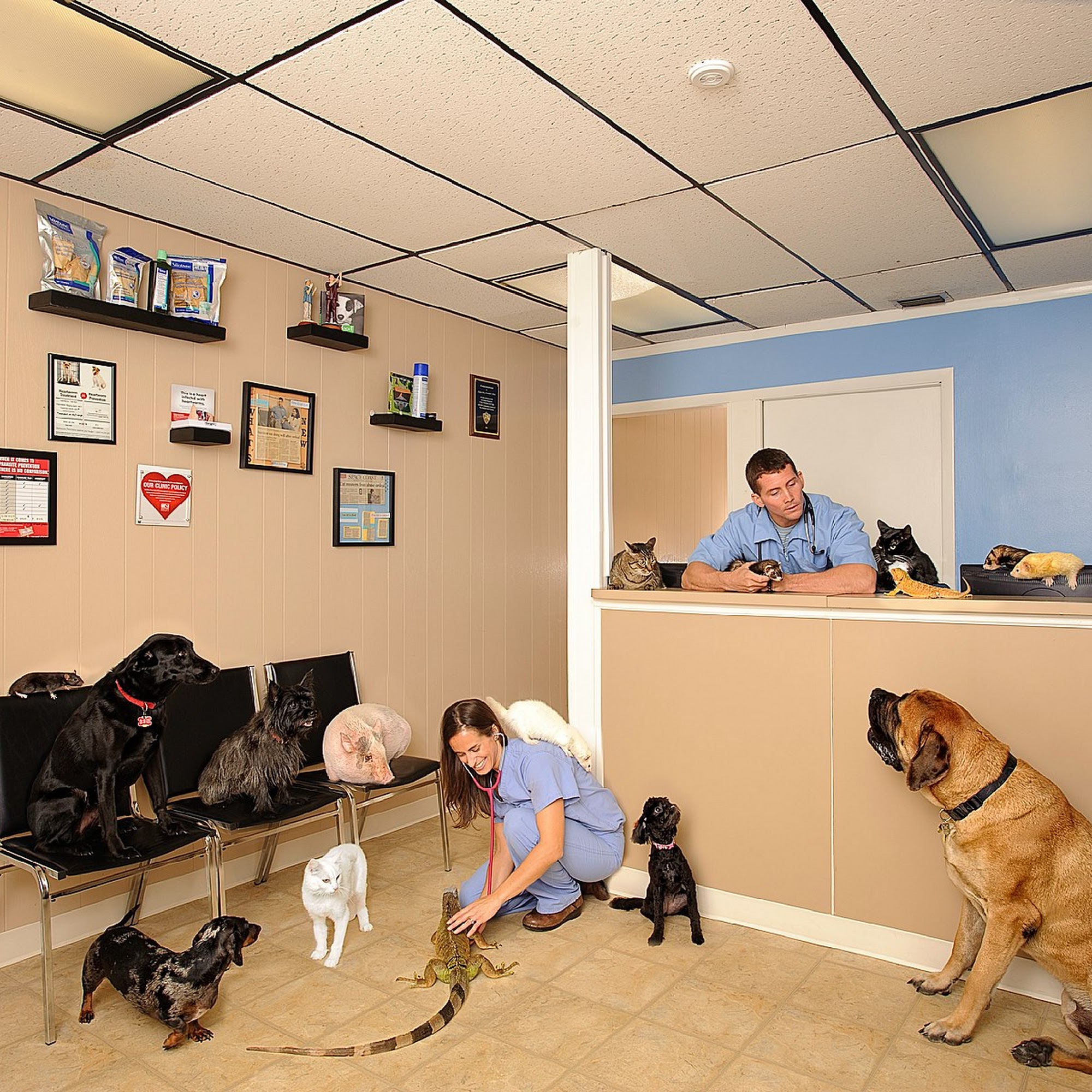 Palm Bay Animal Clinic Palm Bay