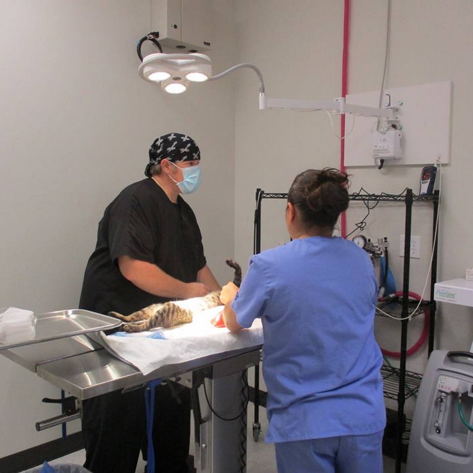 Brevard Spay/Neuter Clinic Palm Bay