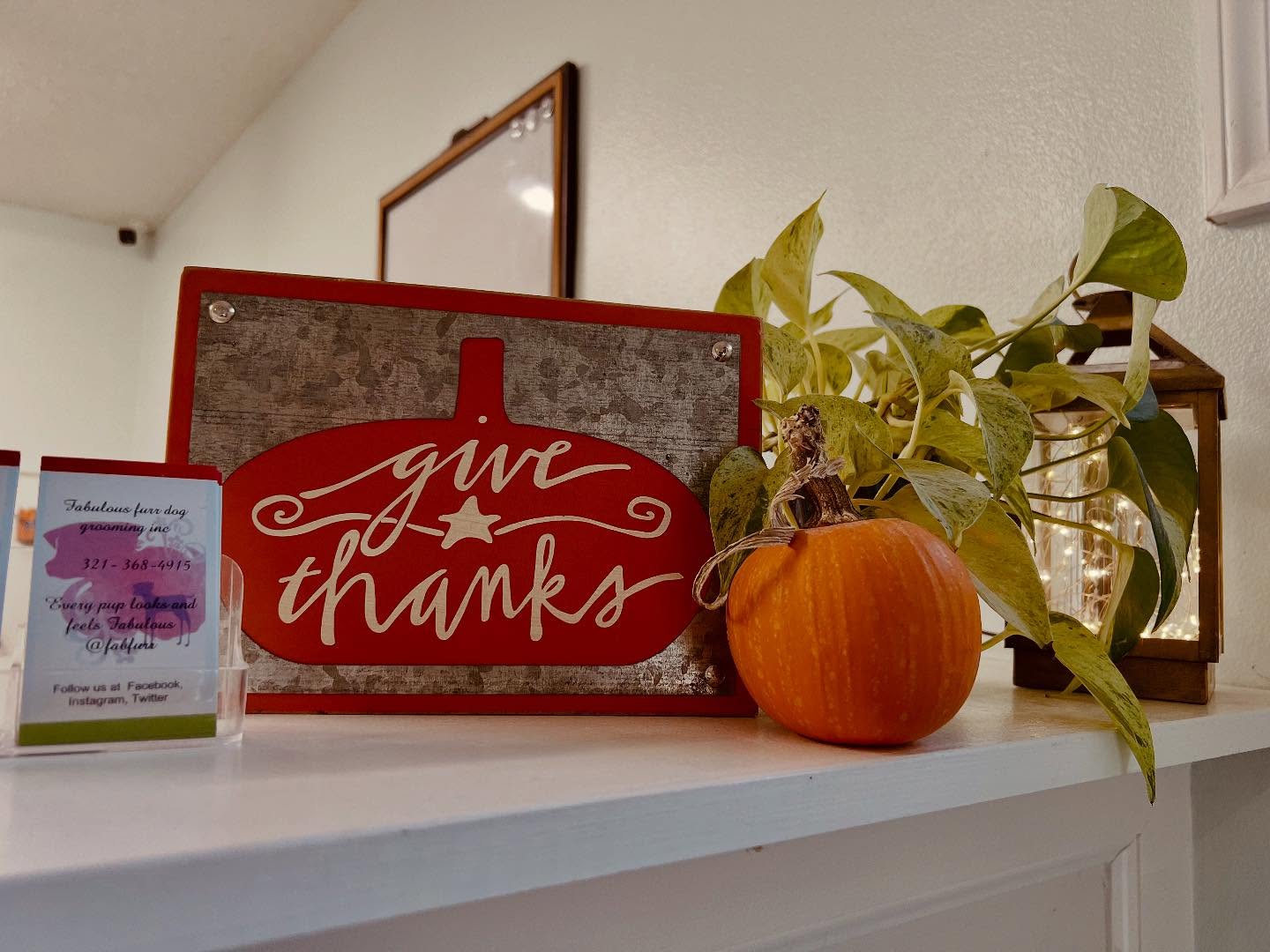 Fabulous Furr Dog Grooming Palm Bay