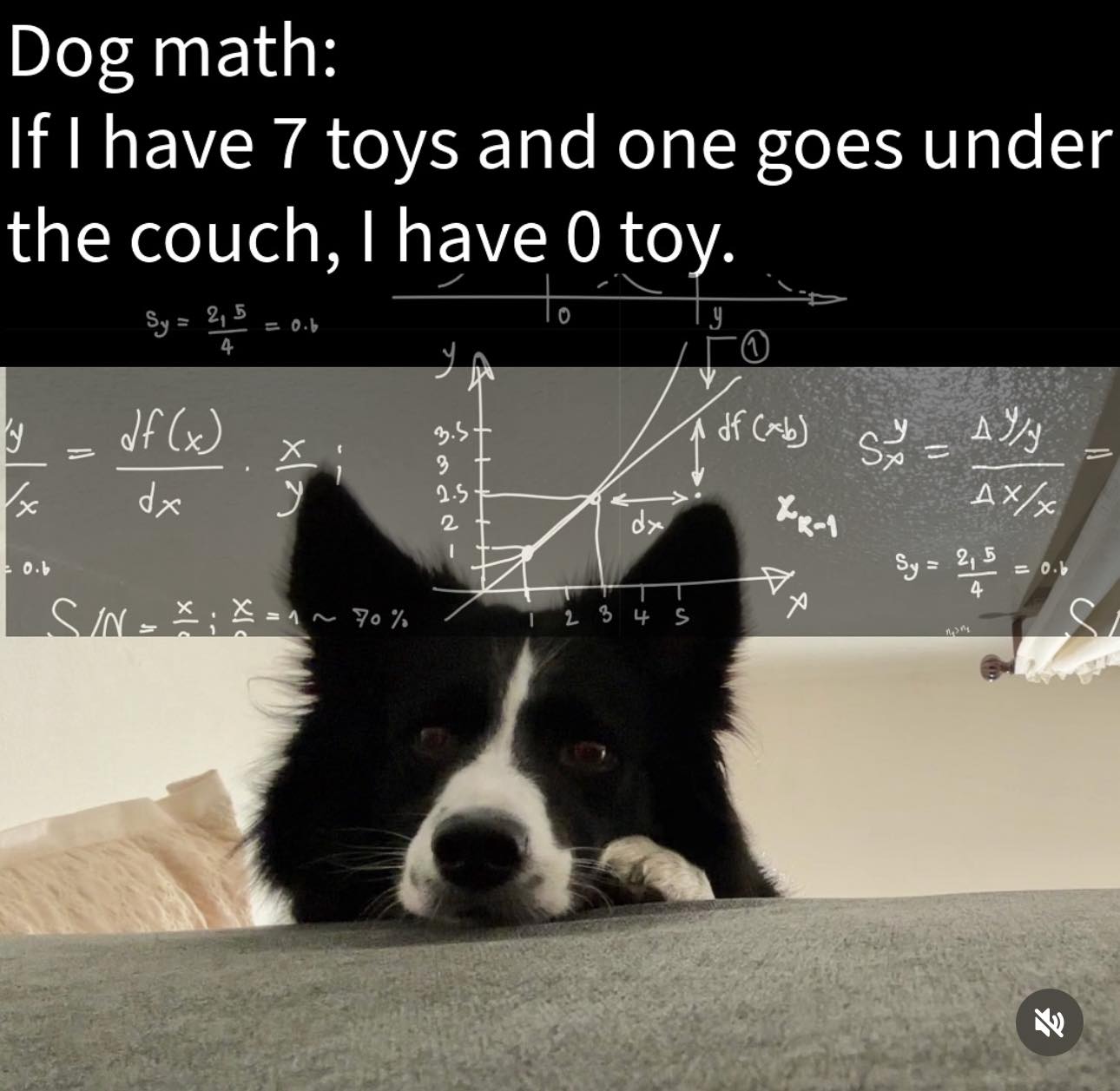 Off Leash K9 Training Central Florida Palm Bay