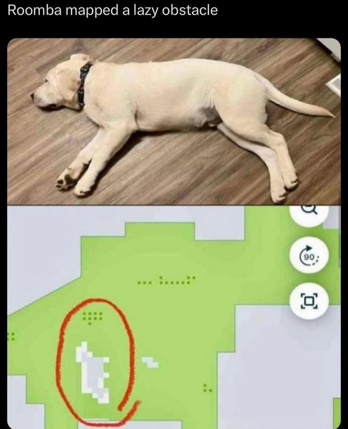 Off Leash K9 Training Central Florida Palm Bay