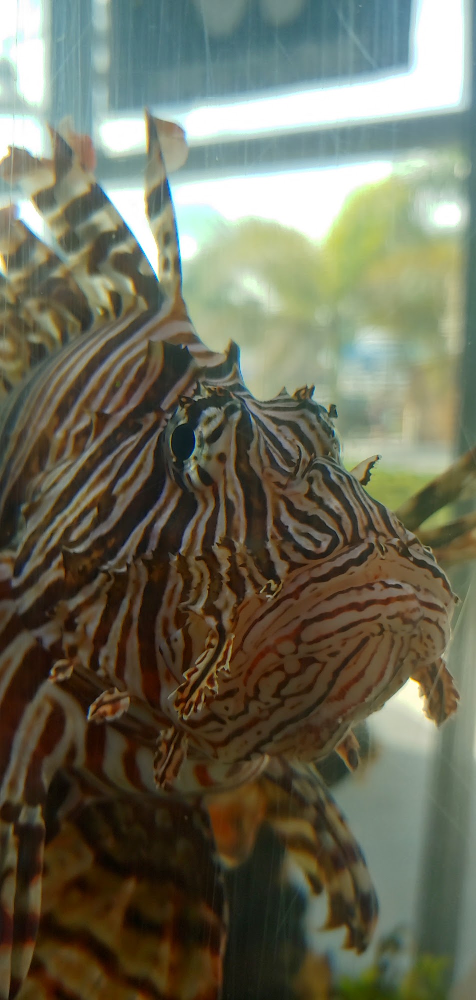 FloridaPets Palm Bay