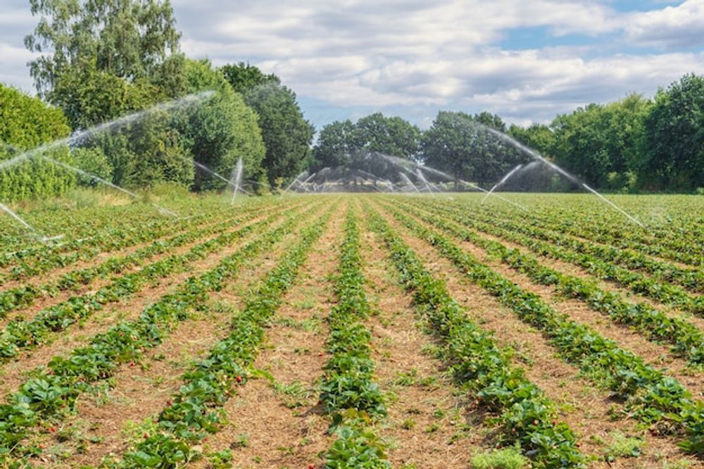 Jones' Wells, Pumps & Irrigation