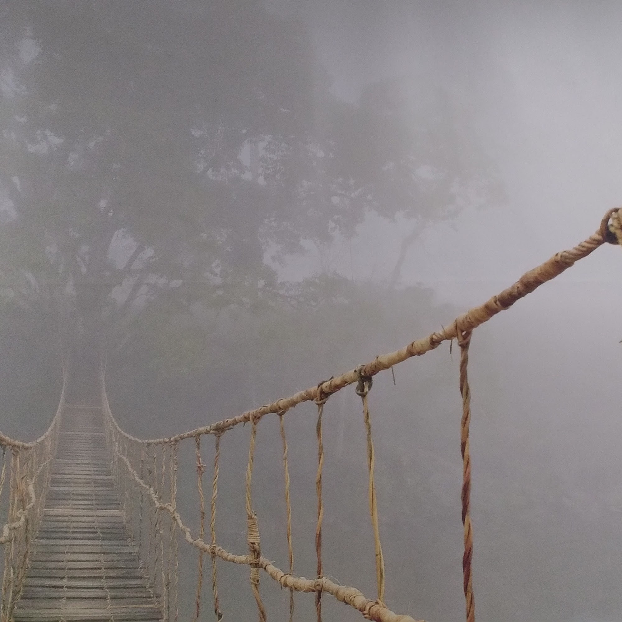 Falcon Massage & Bodywork 2060 Palm Bay Rd NE Suite #2, Palm Bay Florida 32905