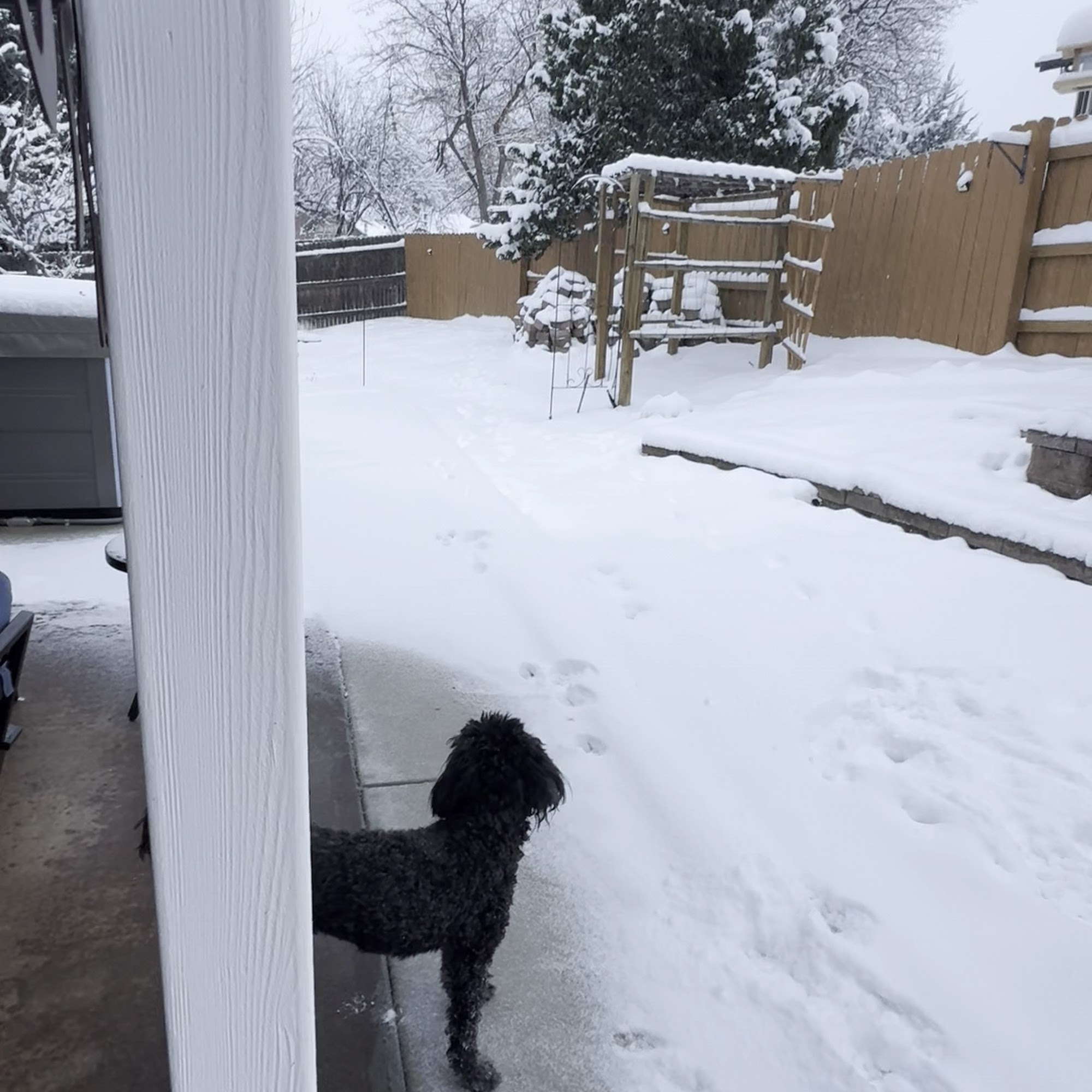 Pet Emergency and Referral Center Palm Beach Gardens