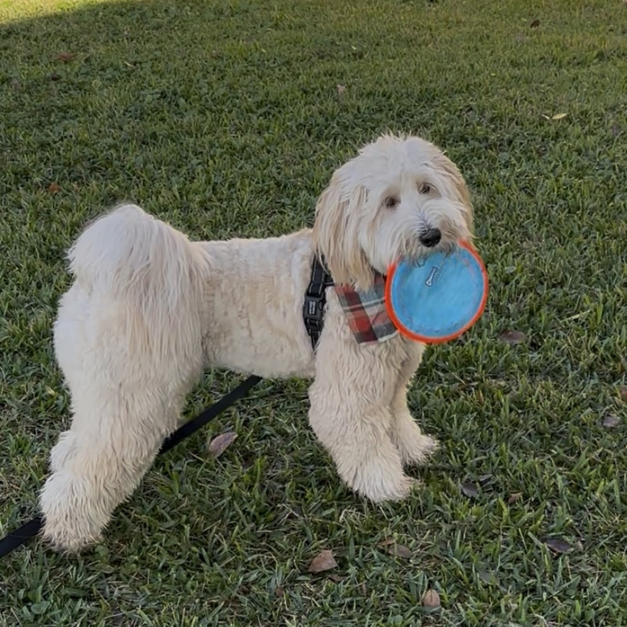 Veterinary Specialty Hospital of Palm Beach Gardens Palm Beach Gardens