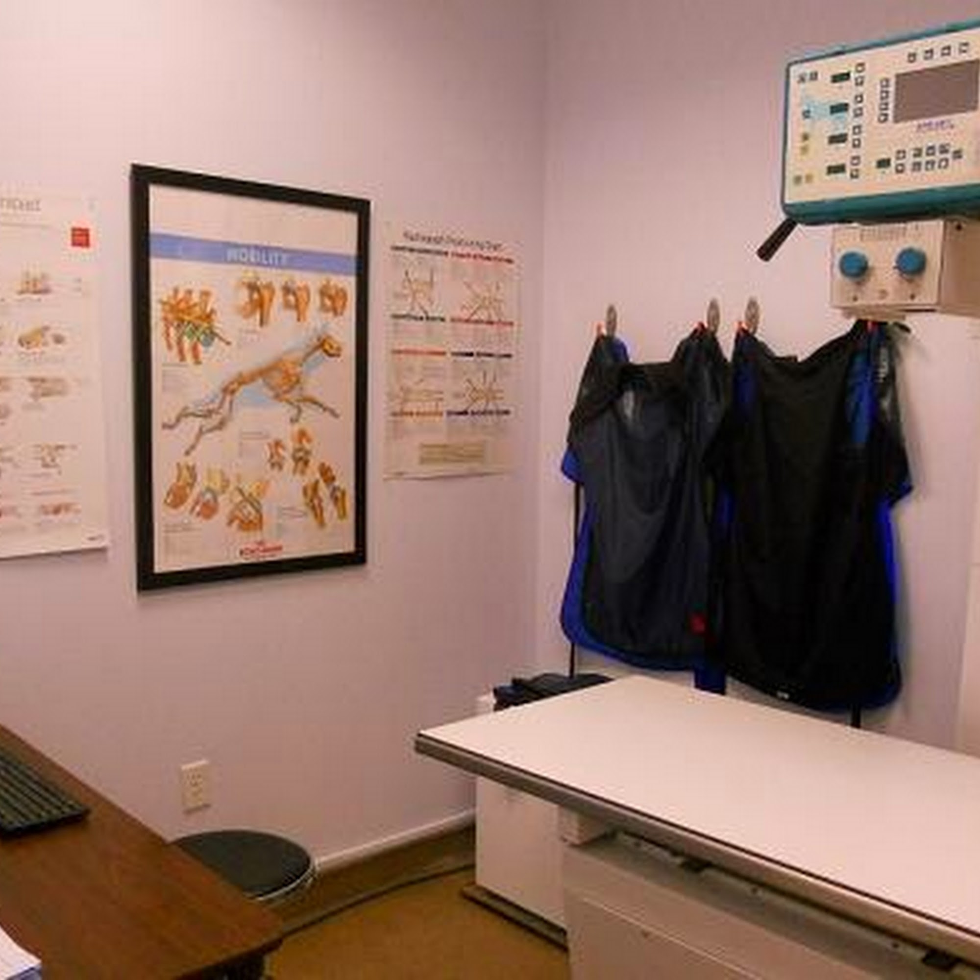 Donald Ross Village Animal Hospital Palm Beach Gardens