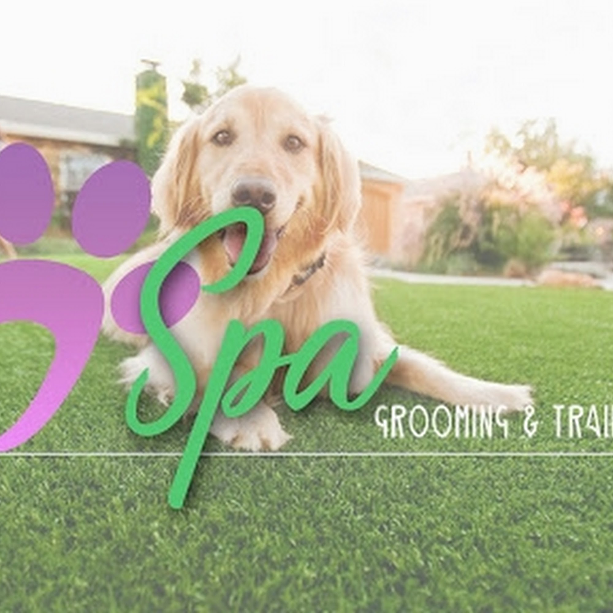 K9 Spa and Training Center Palm Beach Gardens