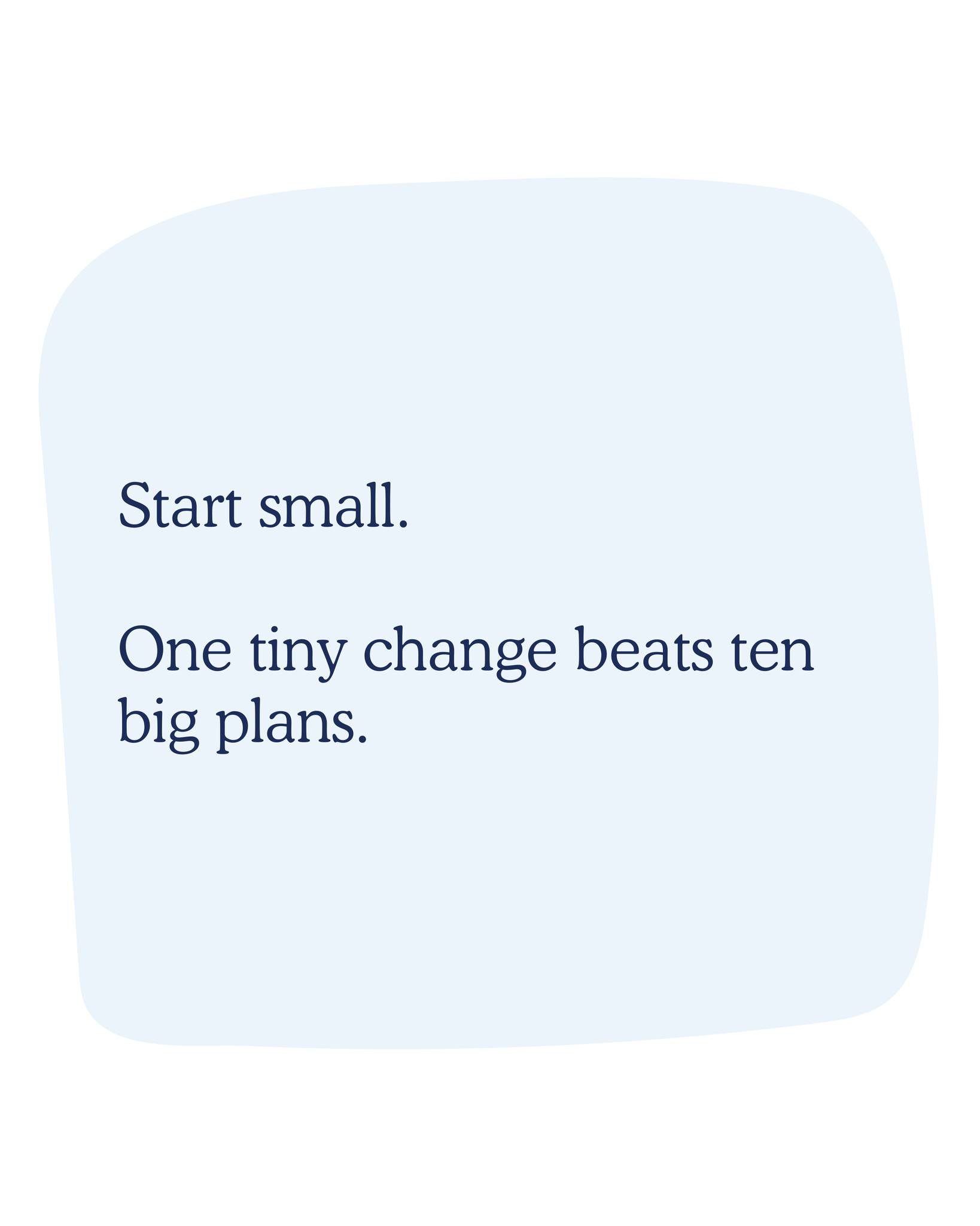 Scenthound Palm Beach Gardens Palm Beach Gardens