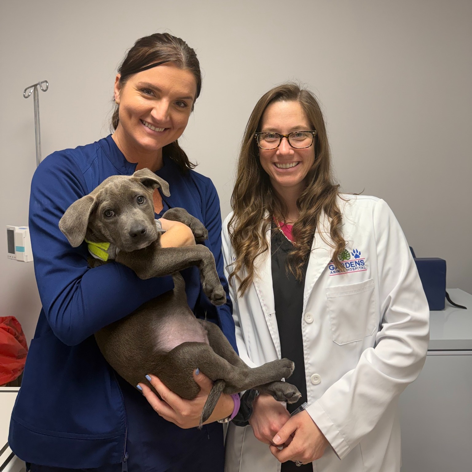 Palm Beach Gardens Animal Hospital - Vetco Total Care Palm Beach Gardens