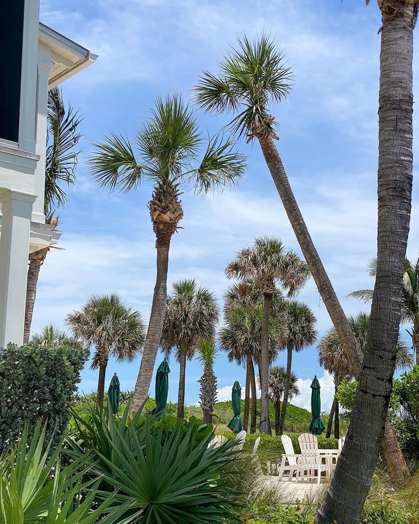 Al Fresco Palm Beach